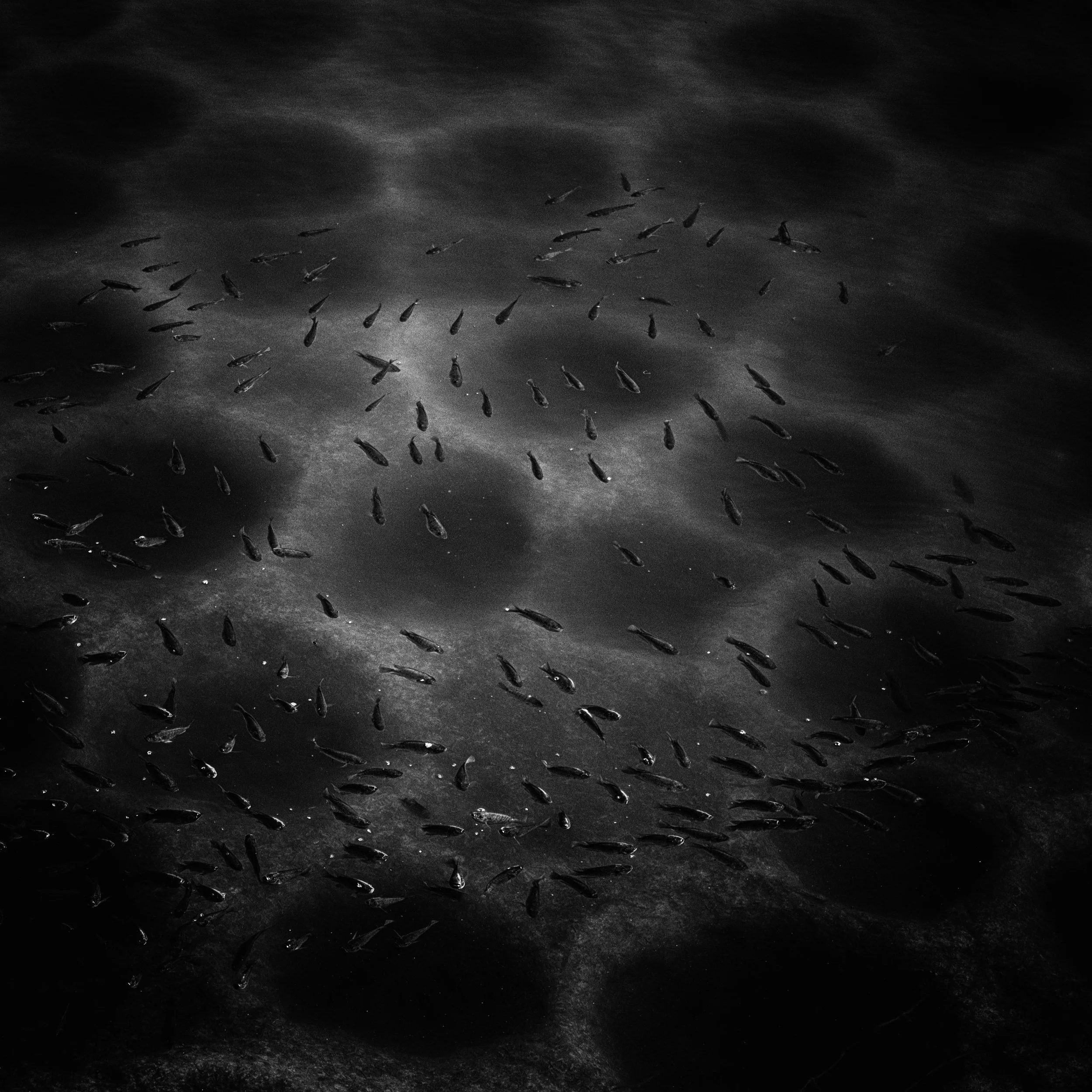 untitled-9.jpg