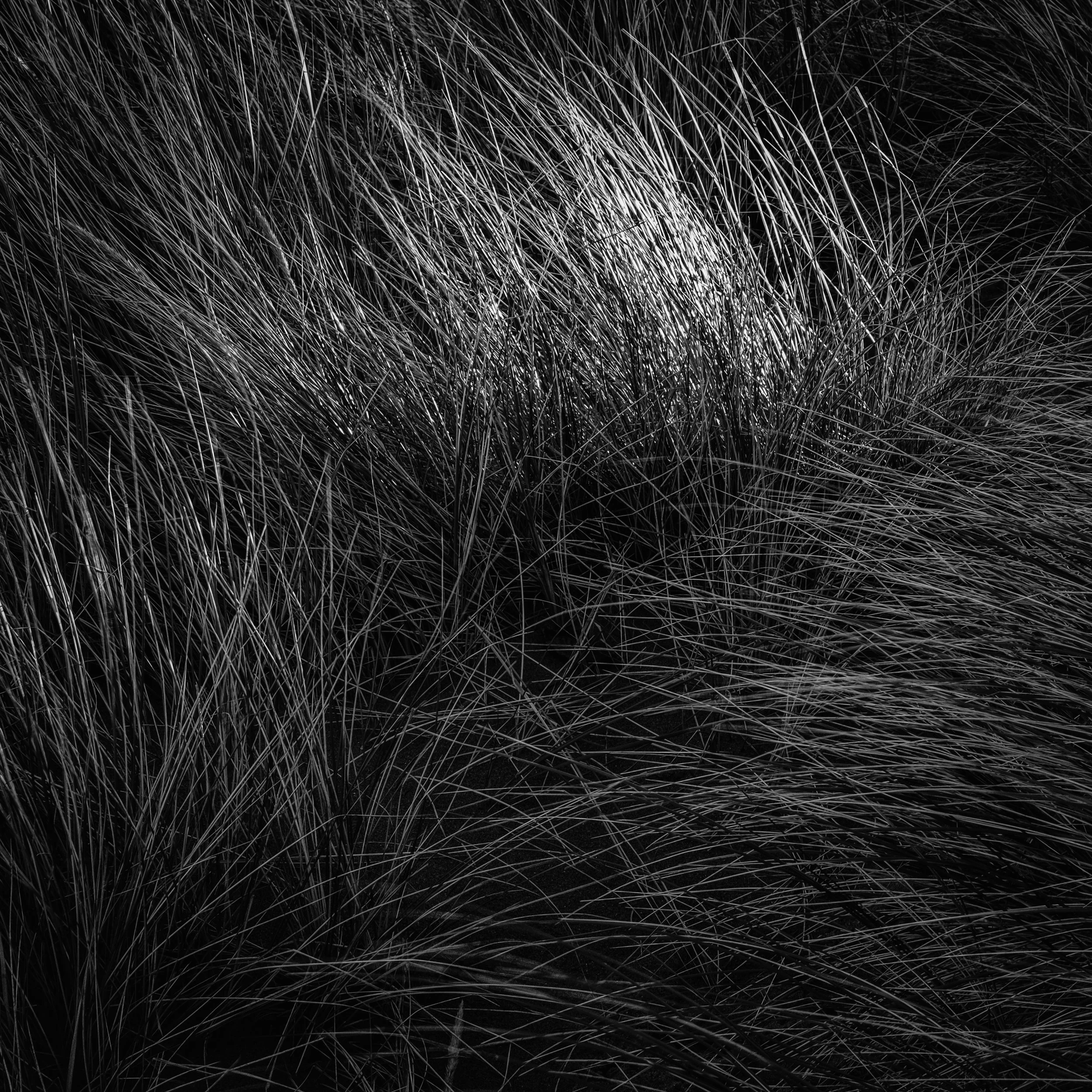untitled-4.jpg
