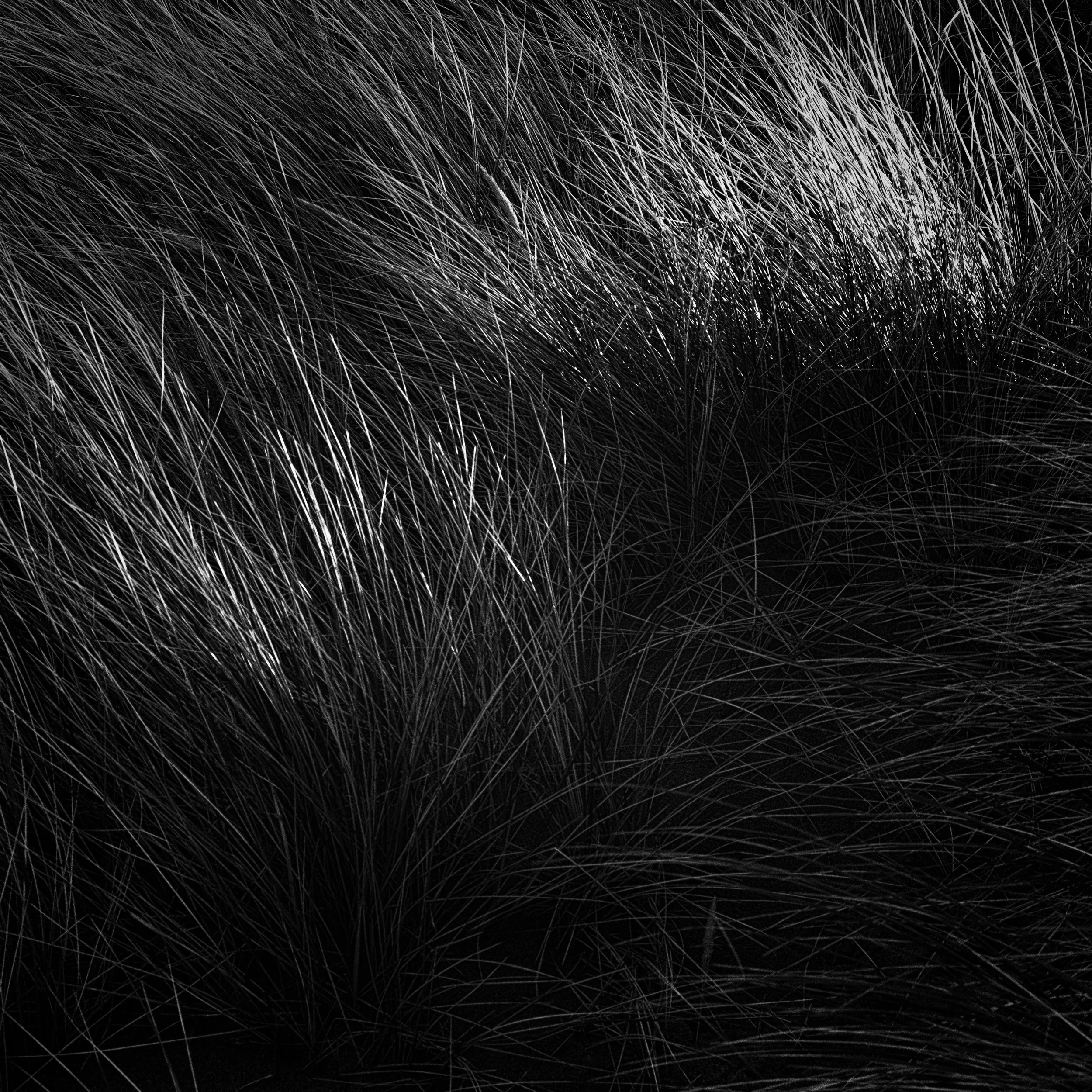 untitled-5.jpg