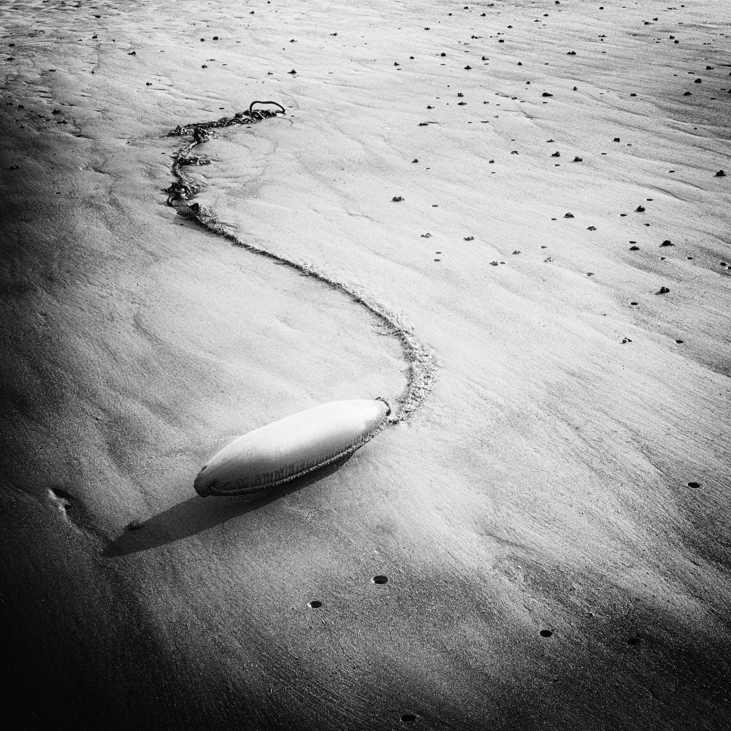 untitled-6.jpg
