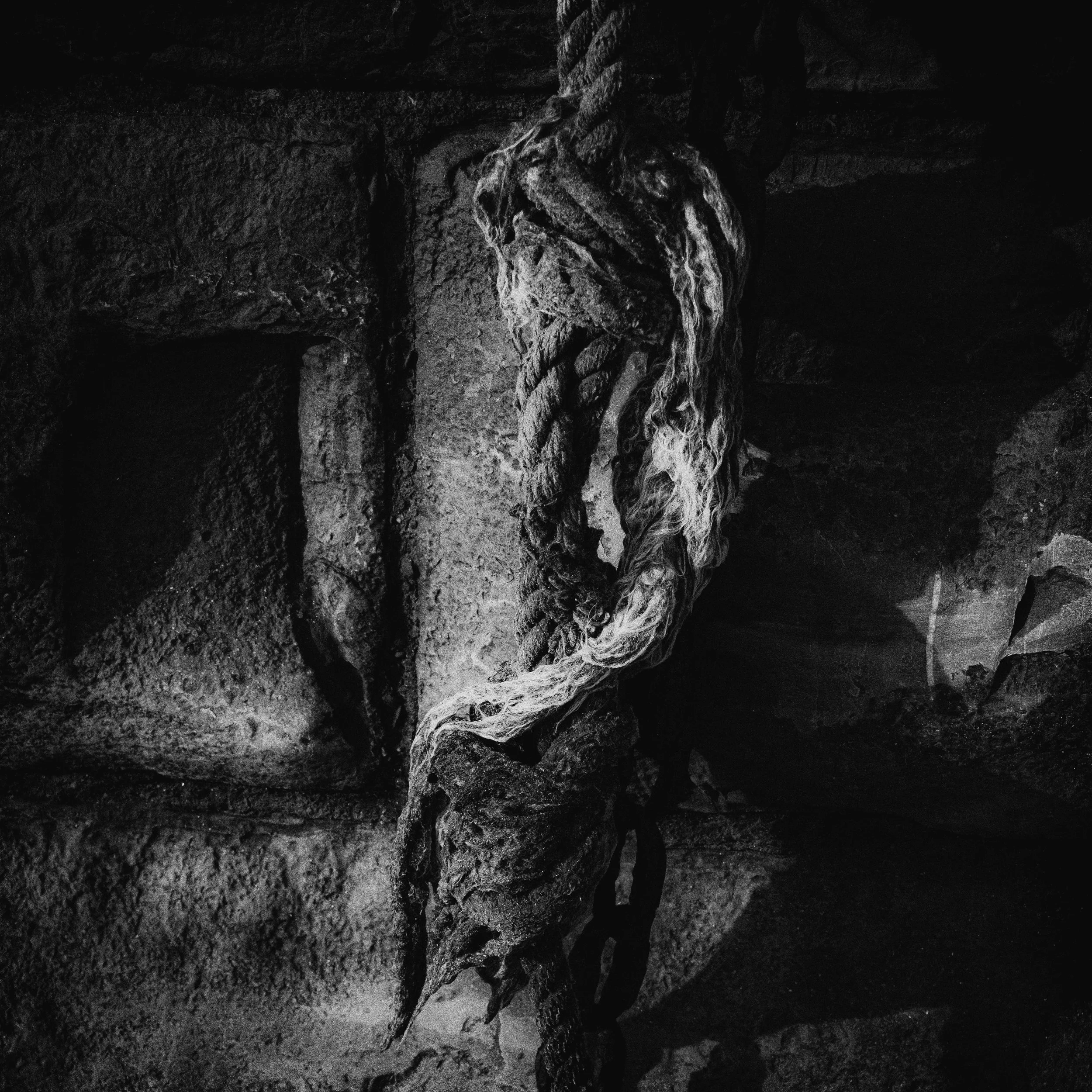 untitled-8.jpg