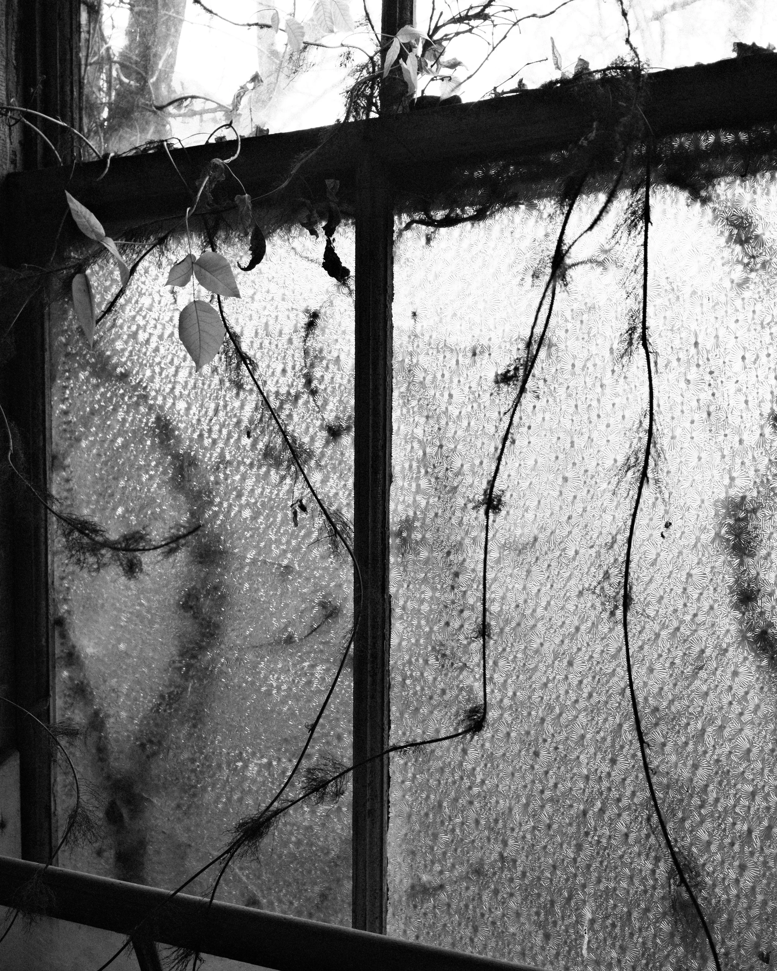 Ellis island hospital-16.jpg