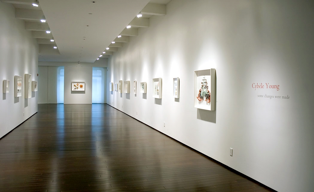 Forum Gallery Installation