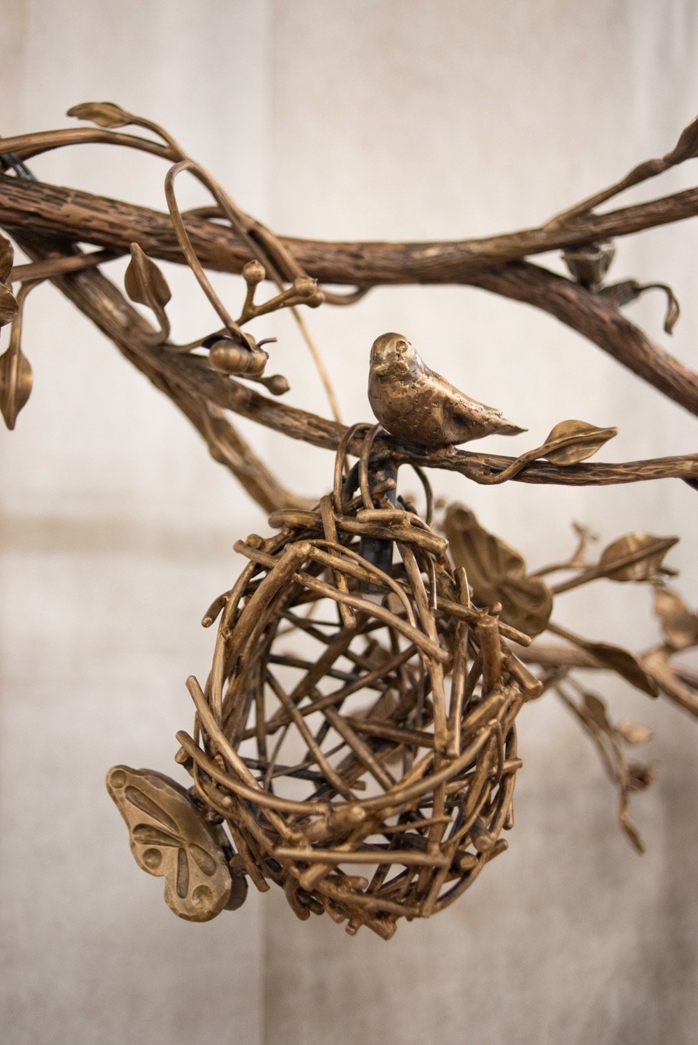 Birds Nest 2.jpeg