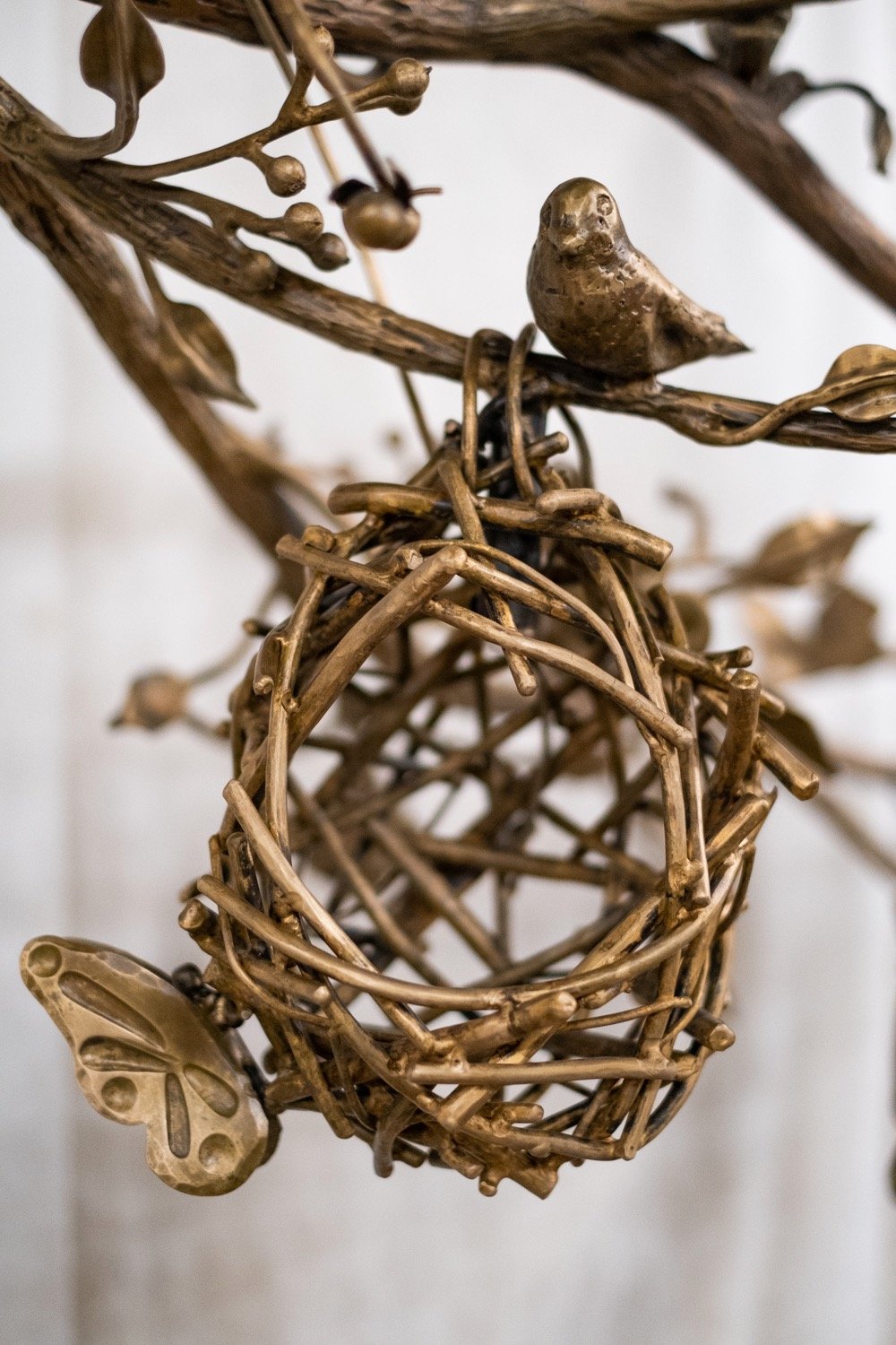 Birds Nest 4.jpeg