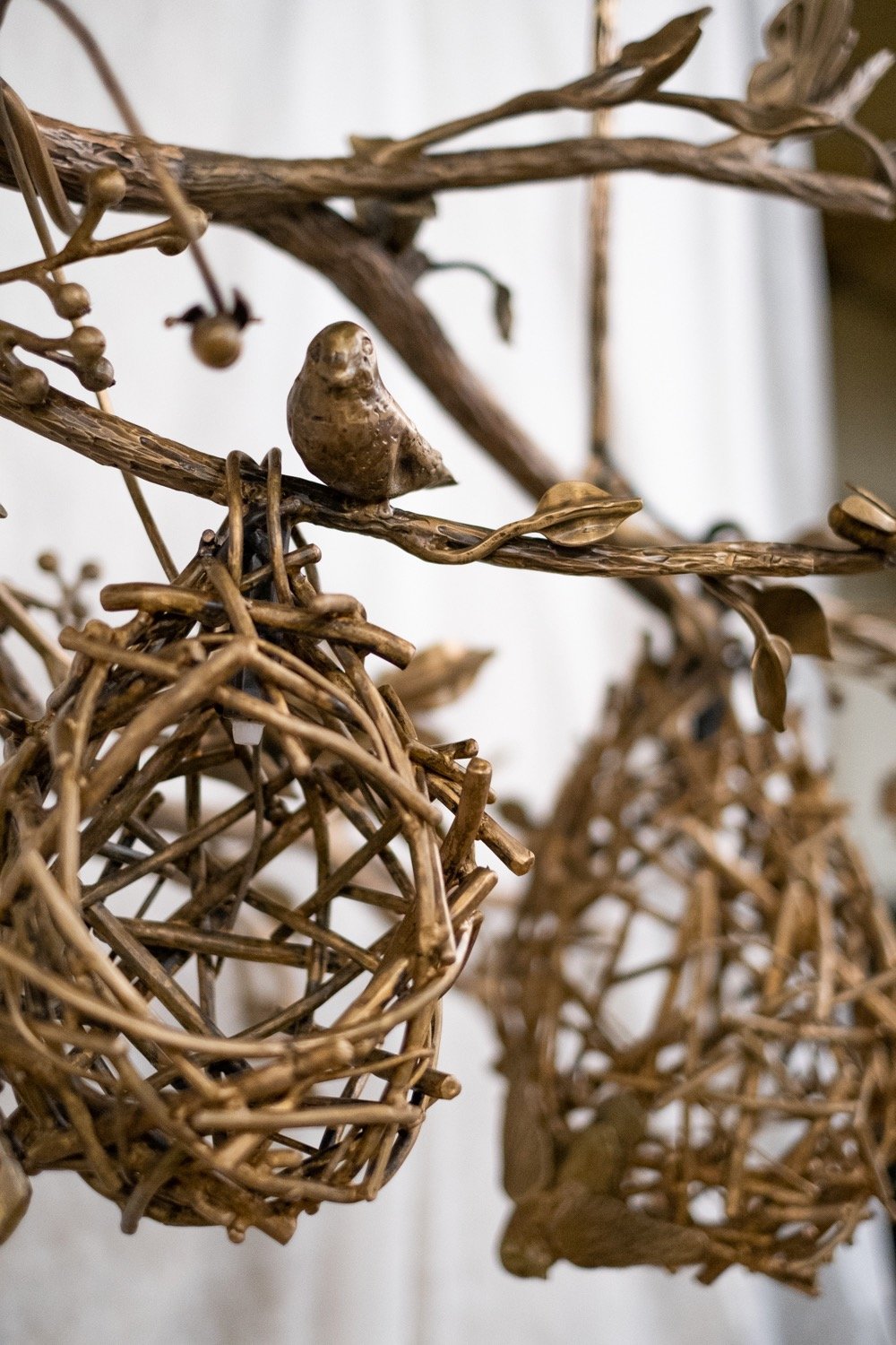 Birds Nest 6.jpeg