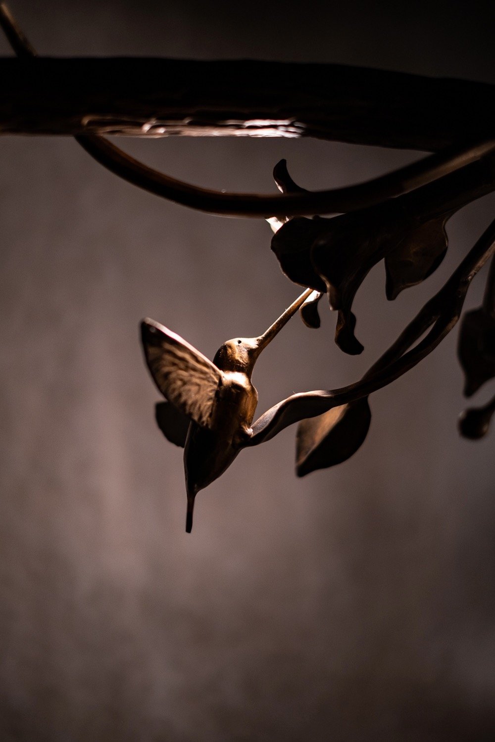 Hummingbird 6.jpeg