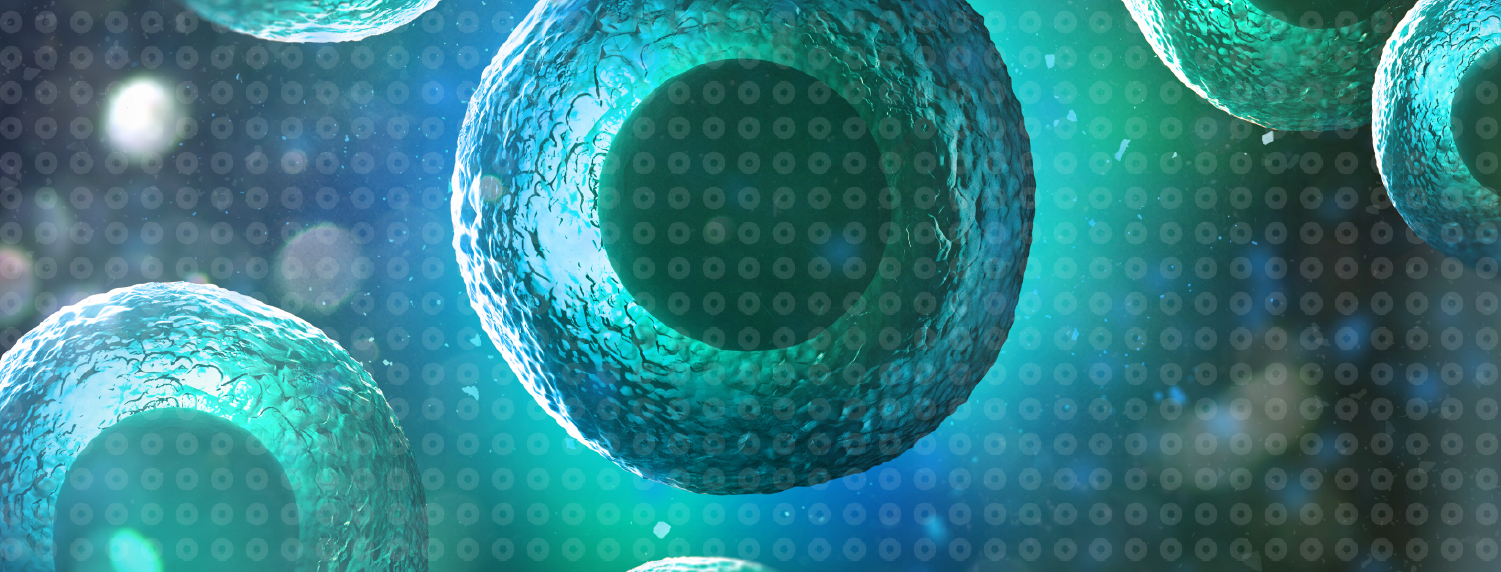 _website_images-07.png