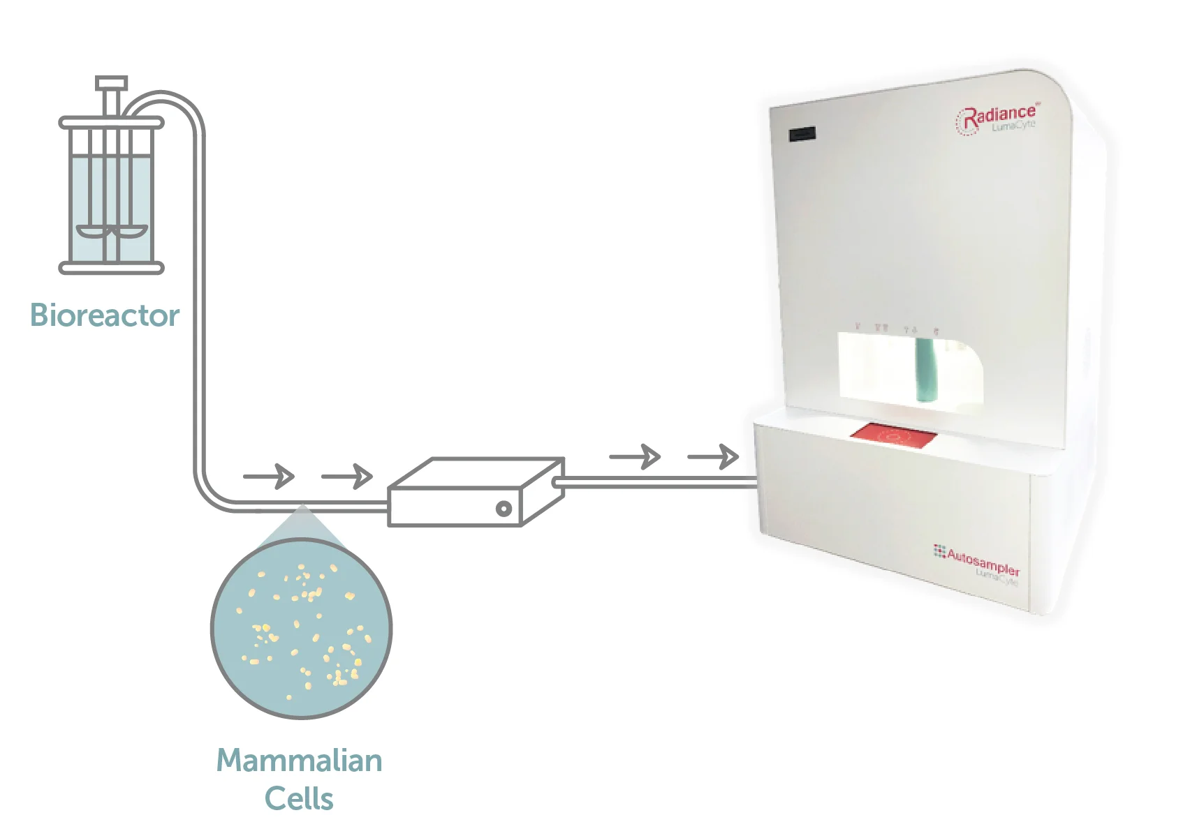 Biomanufacturing_image.jpg