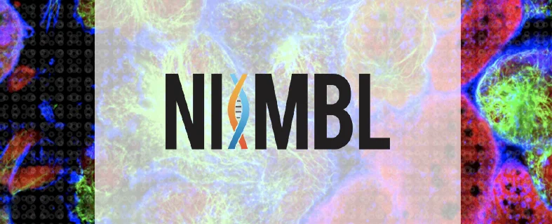 news_image_niimble.jpg