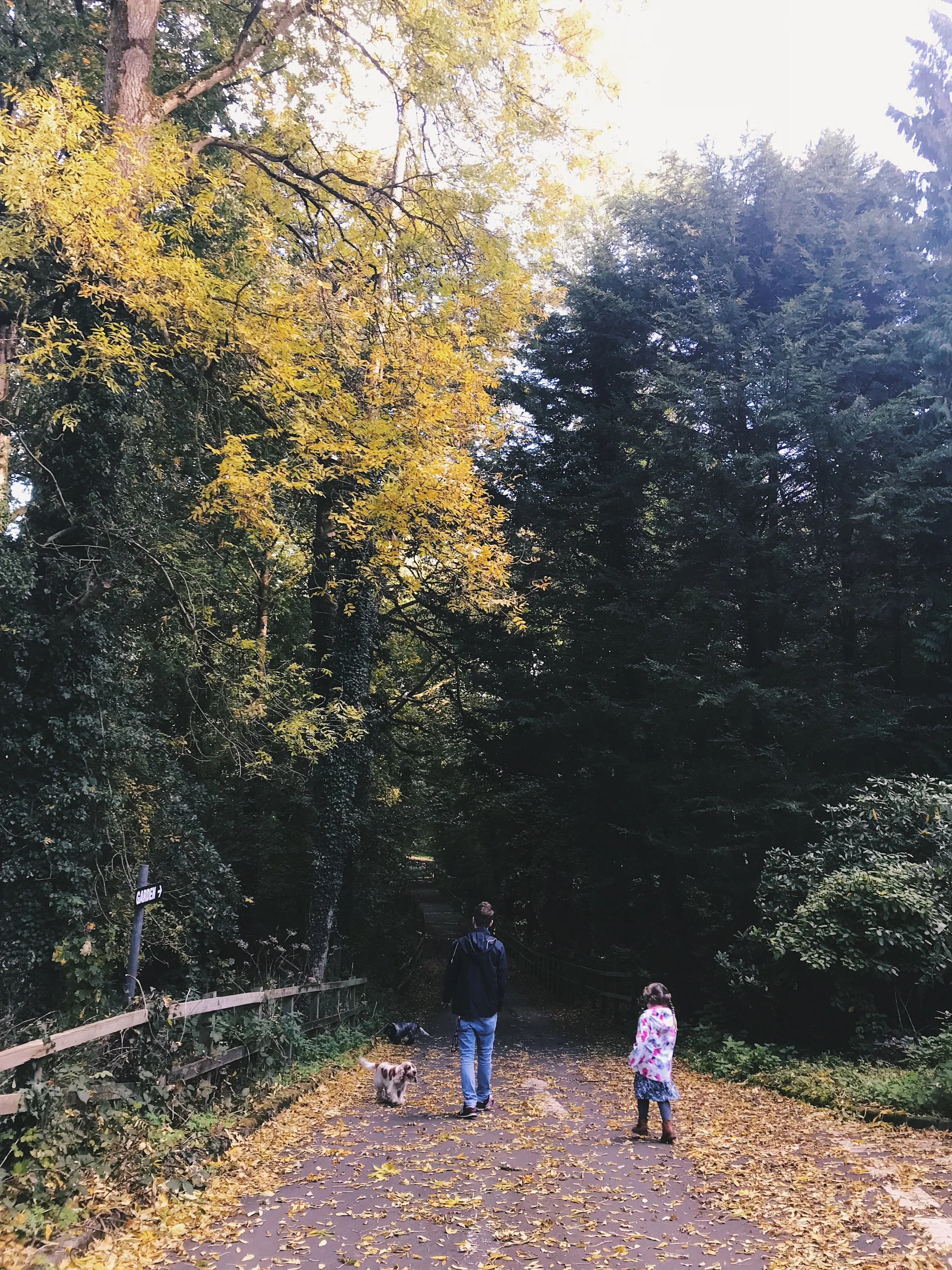 The Road Less Travelled