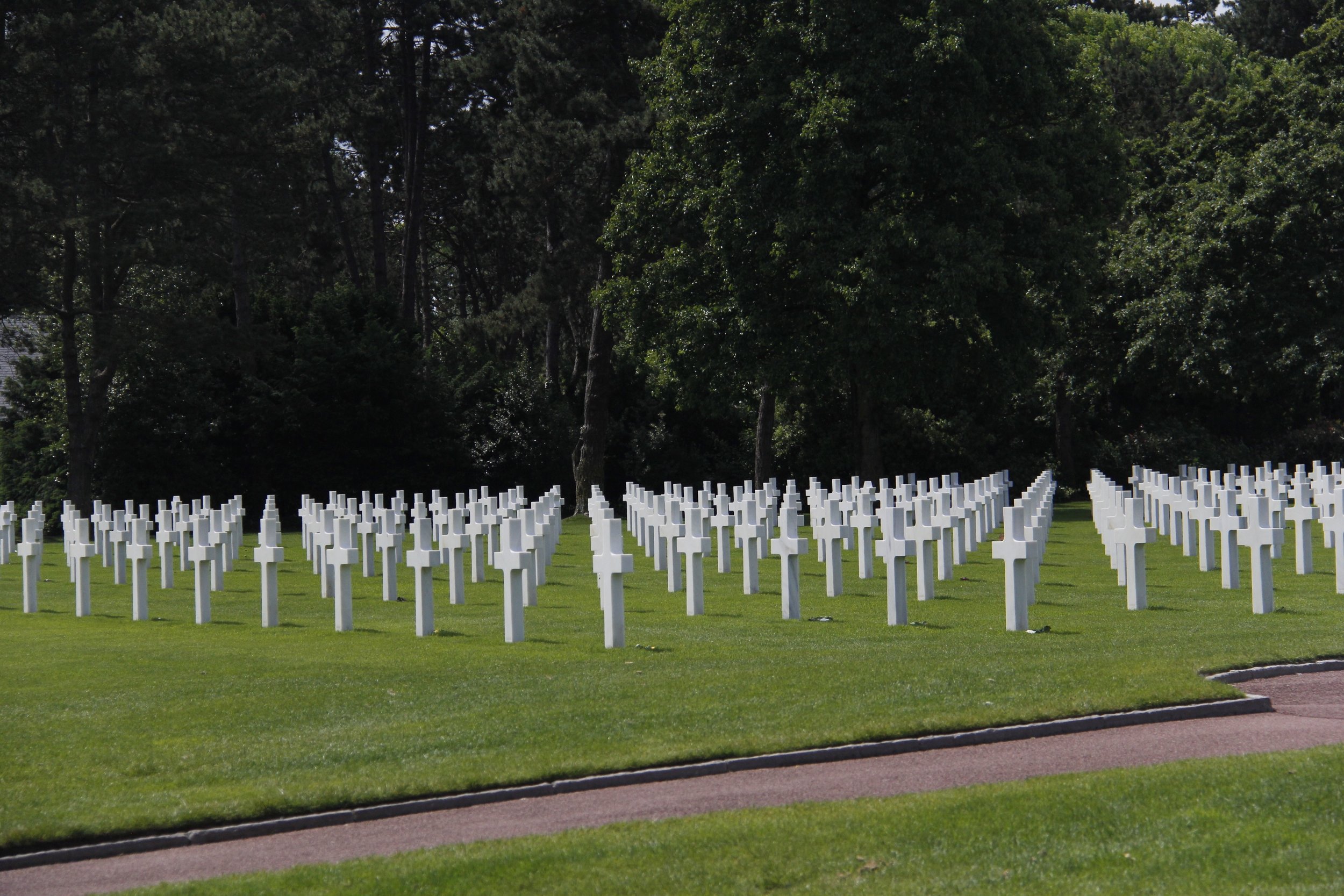 _MG_6879.jpg