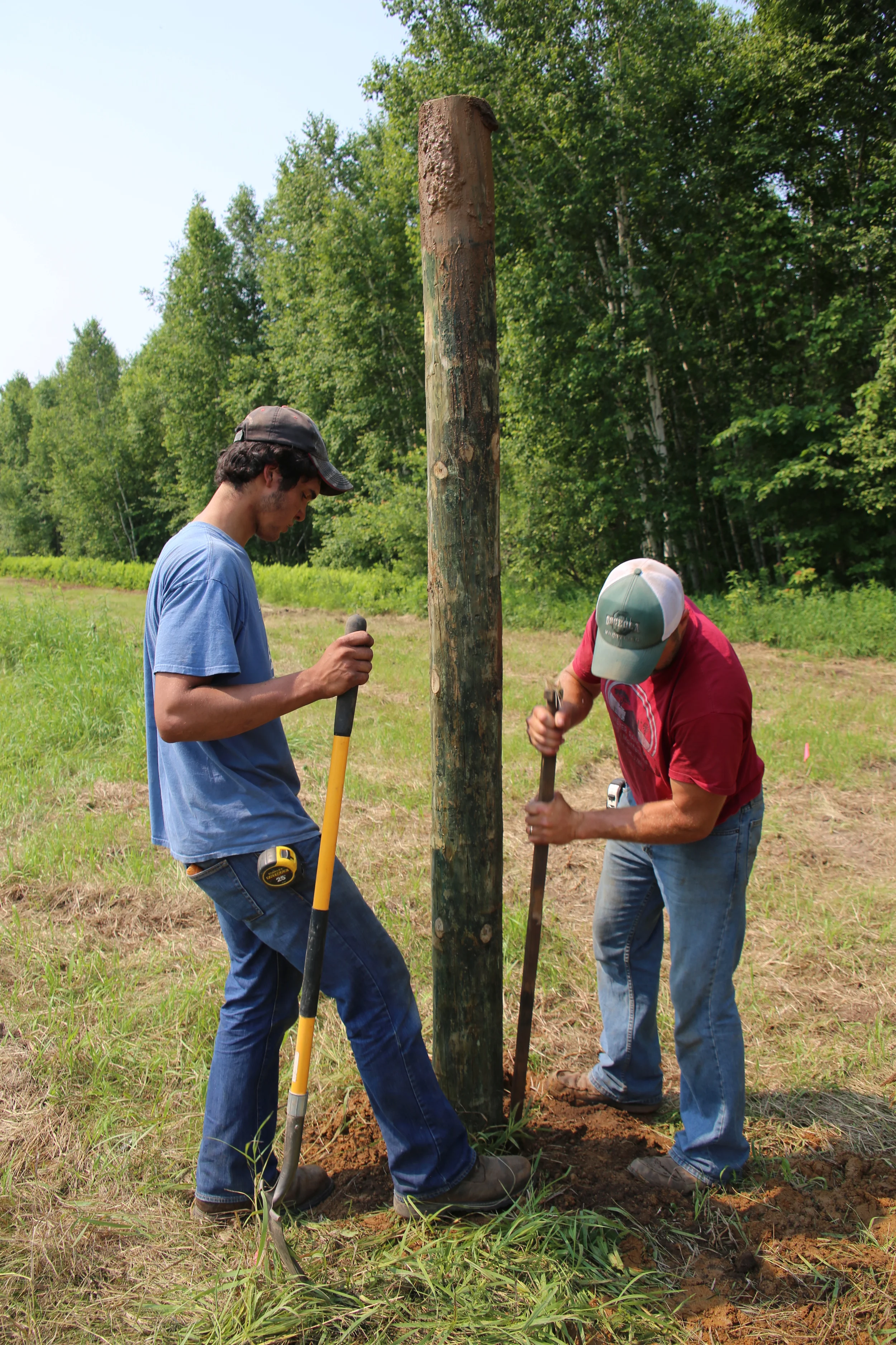 Tyler and Bryan shovel and tamp the soil around one of about 200 Red Pine posts in the South field.