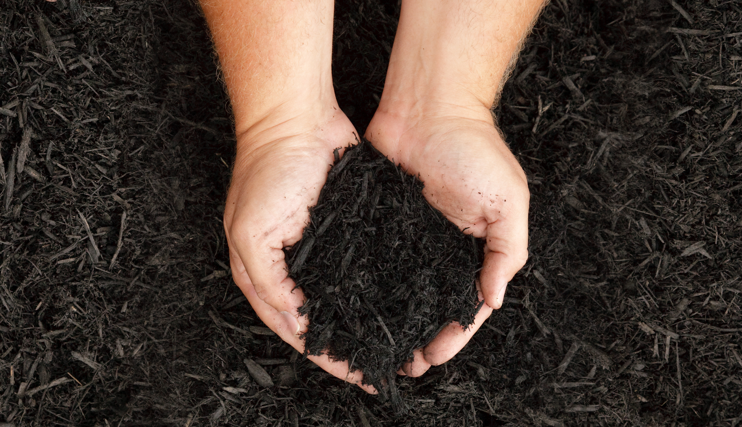0822-Mulch.png