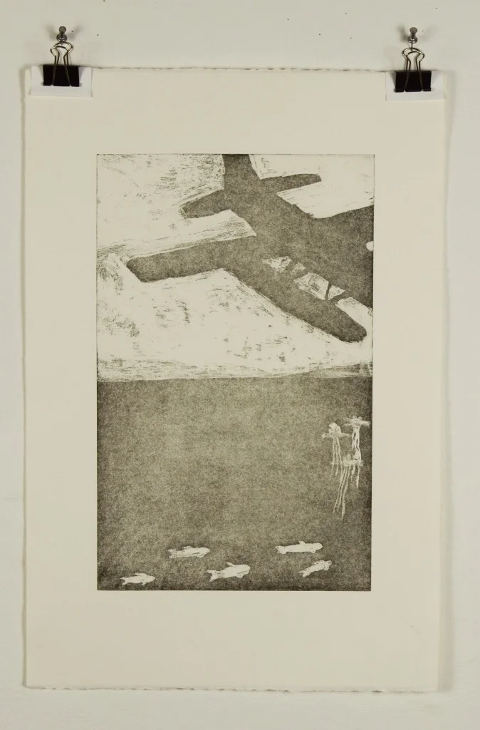 Seaplane Soapbite