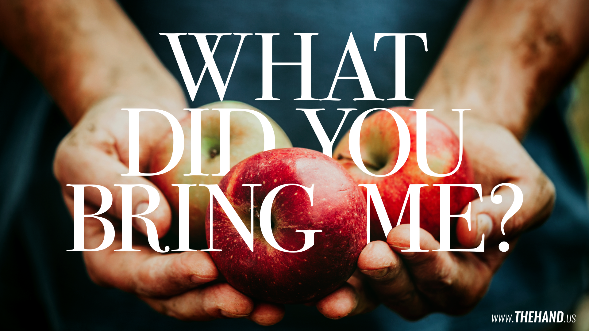 What Did You Bring Me? [20210620]