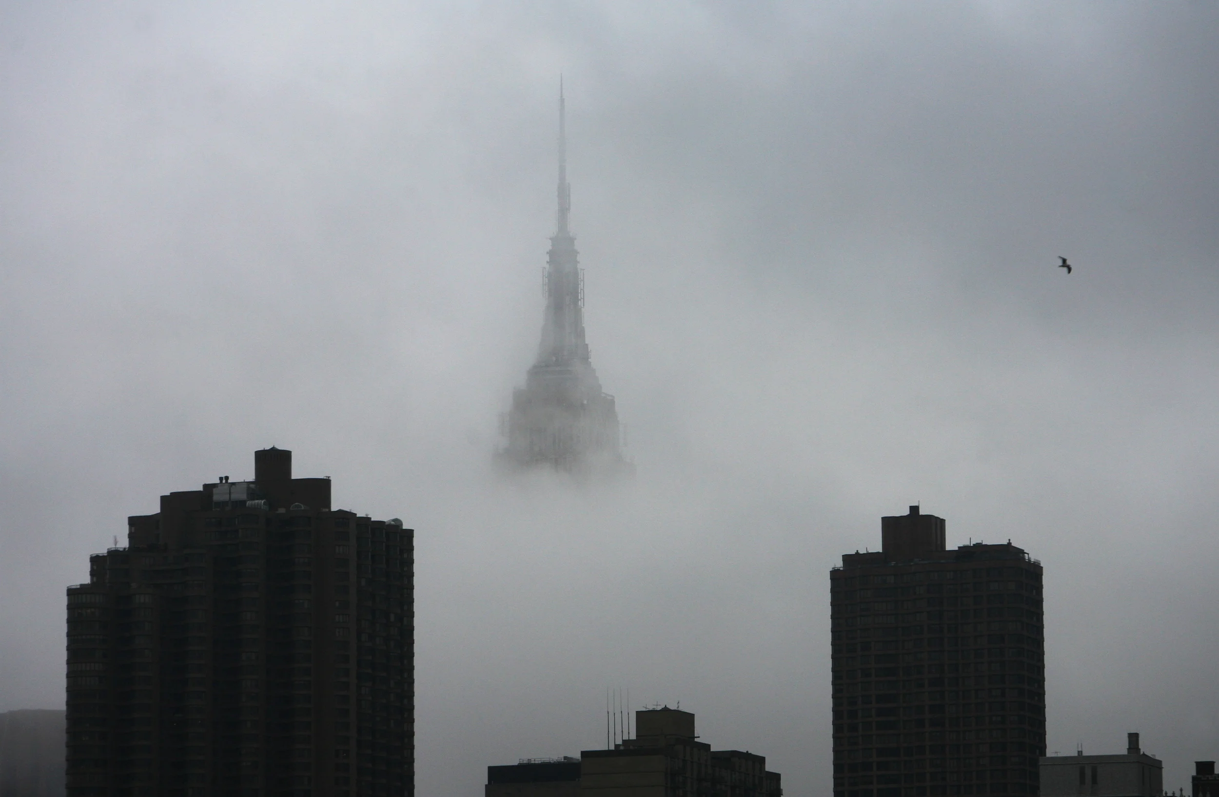 esb--2A.JPG