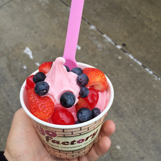 froyo1.jpg