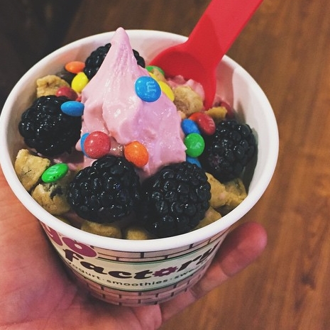 froyo4.jpg