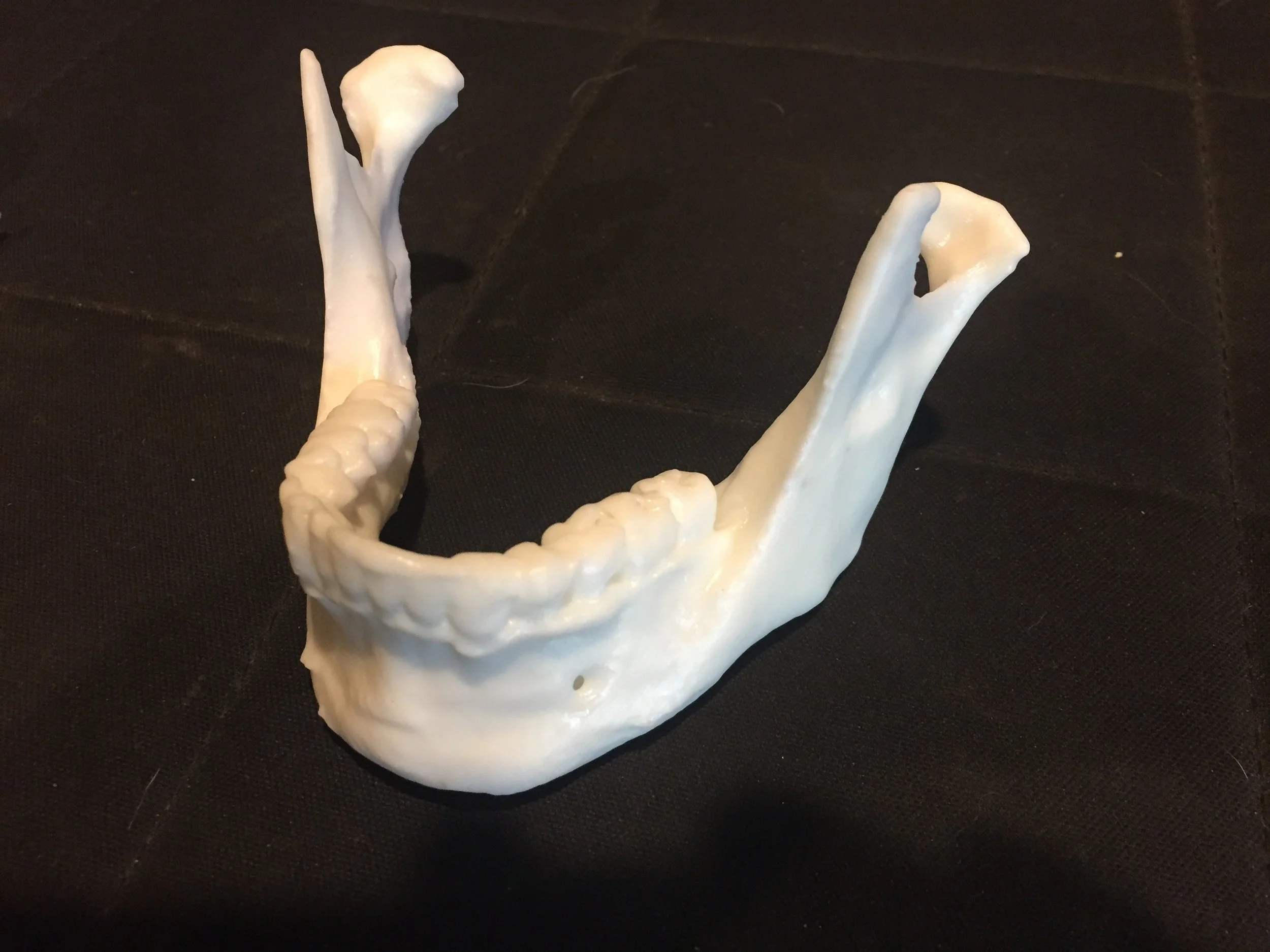 Medical Models