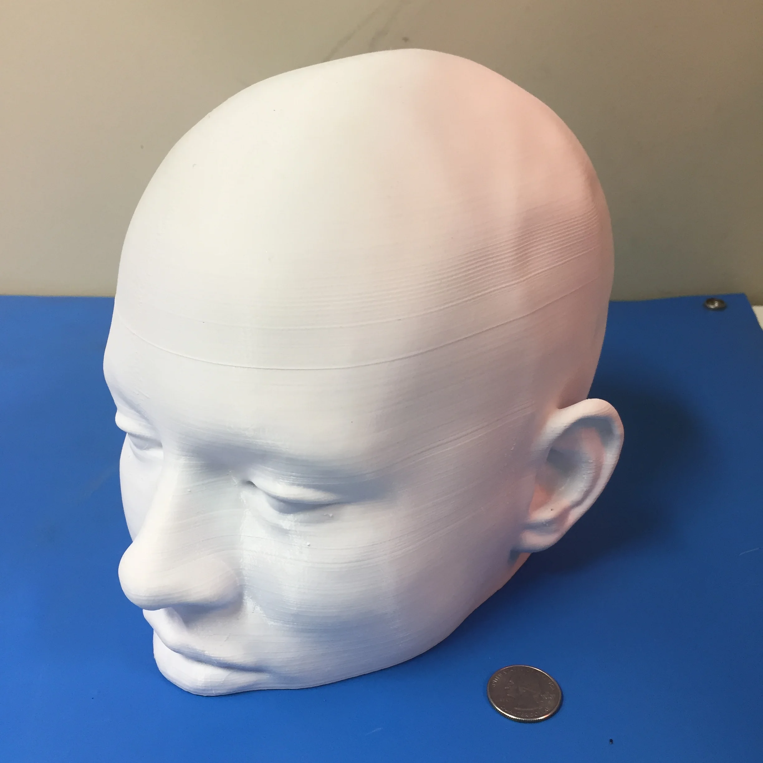 Medical Models