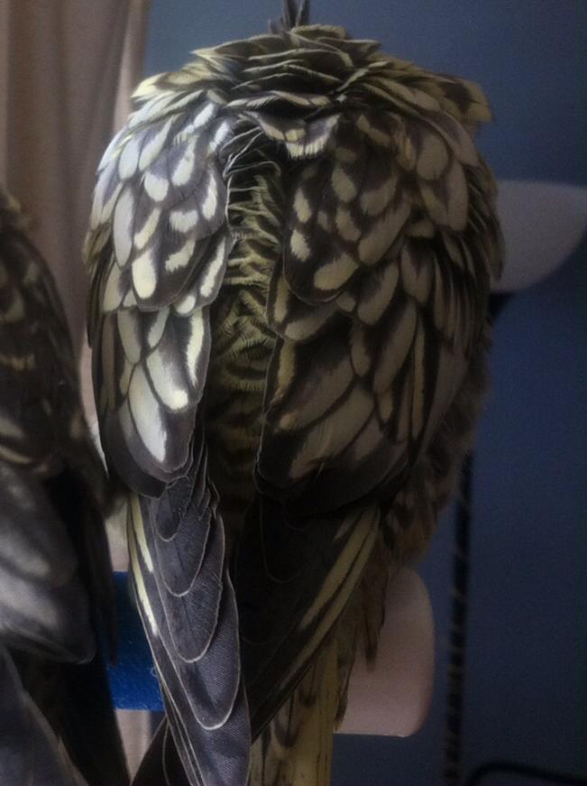 My absolute favorite photo of my lovely girl, Glorie.