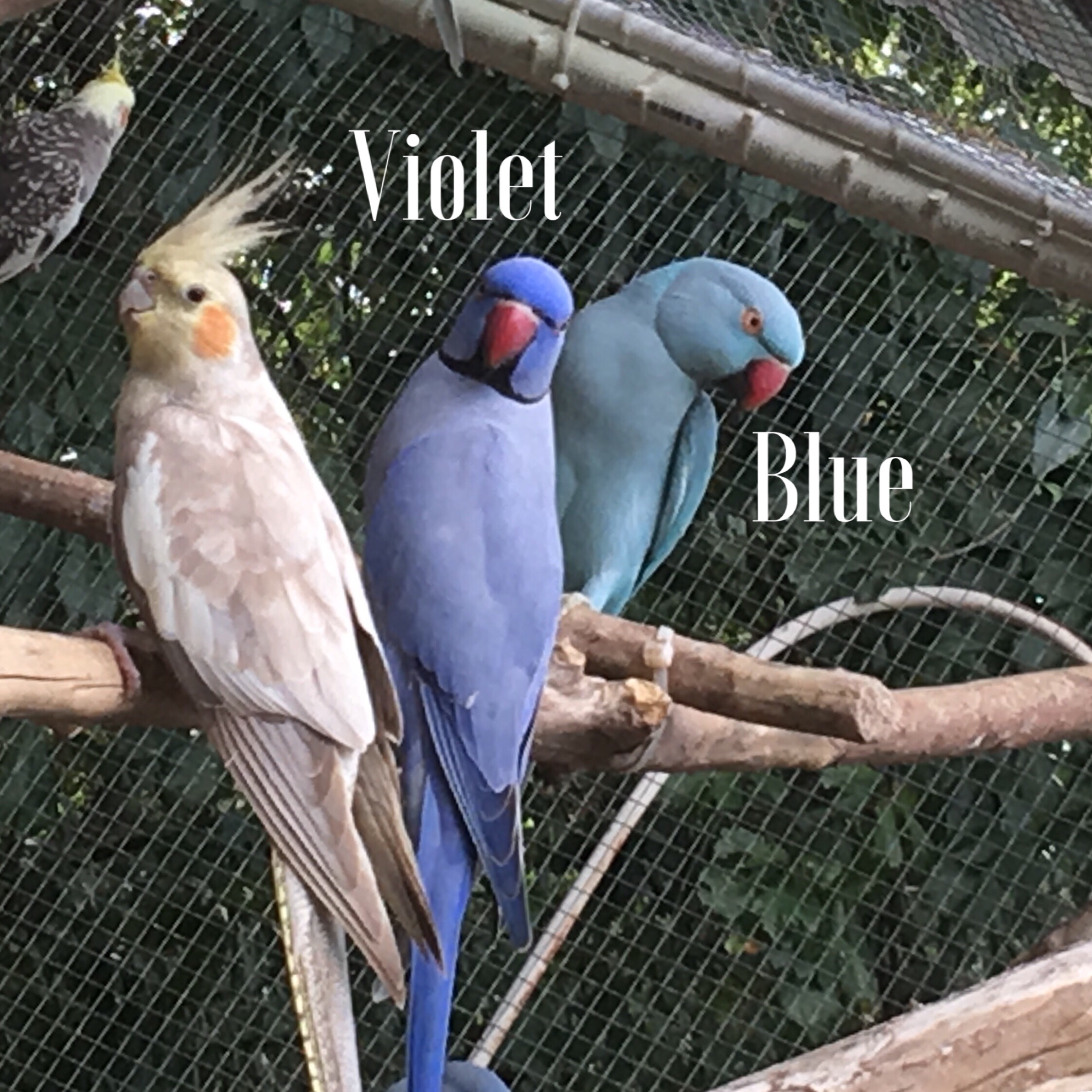 IMG_4671.jpeg