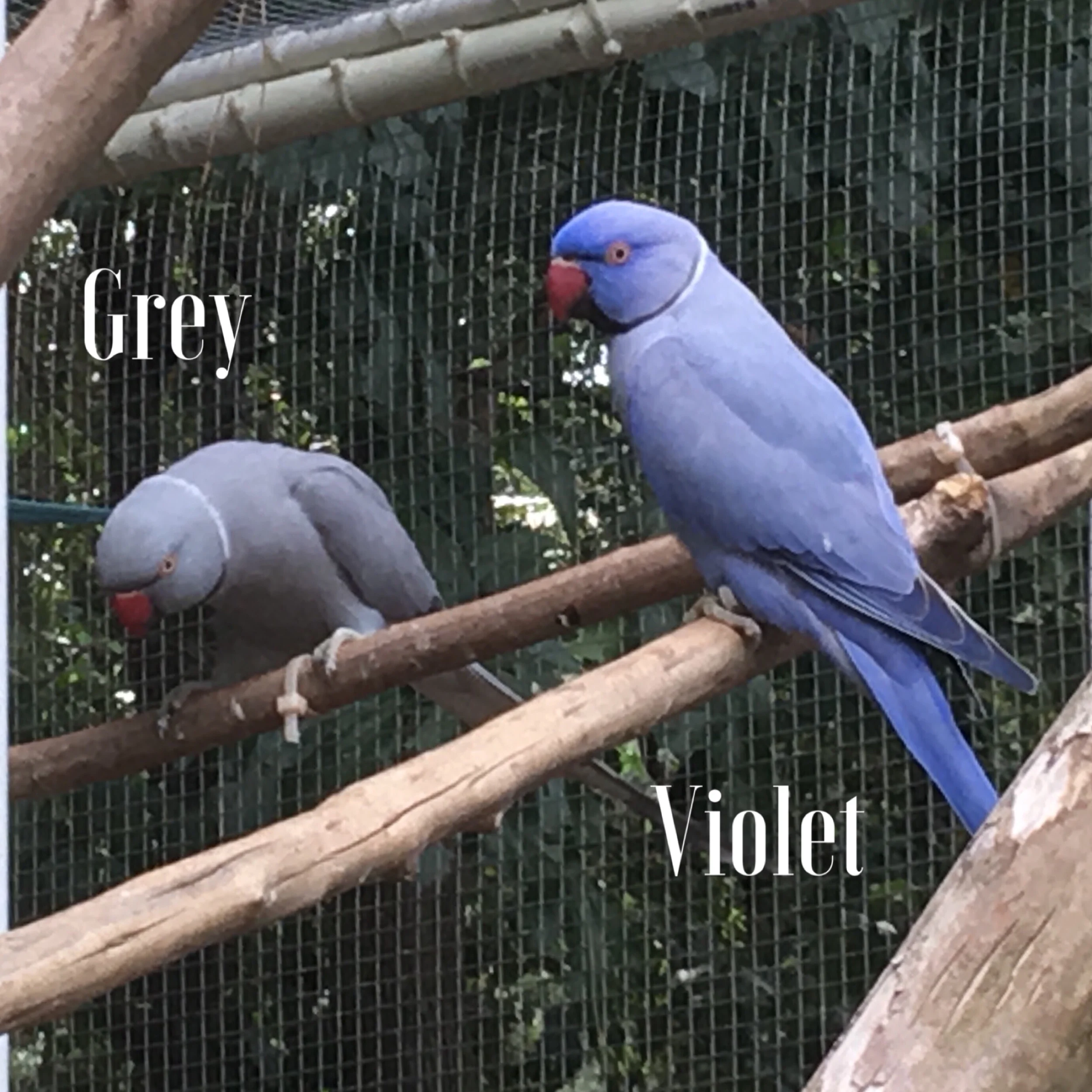 IMG_4676.jpeg