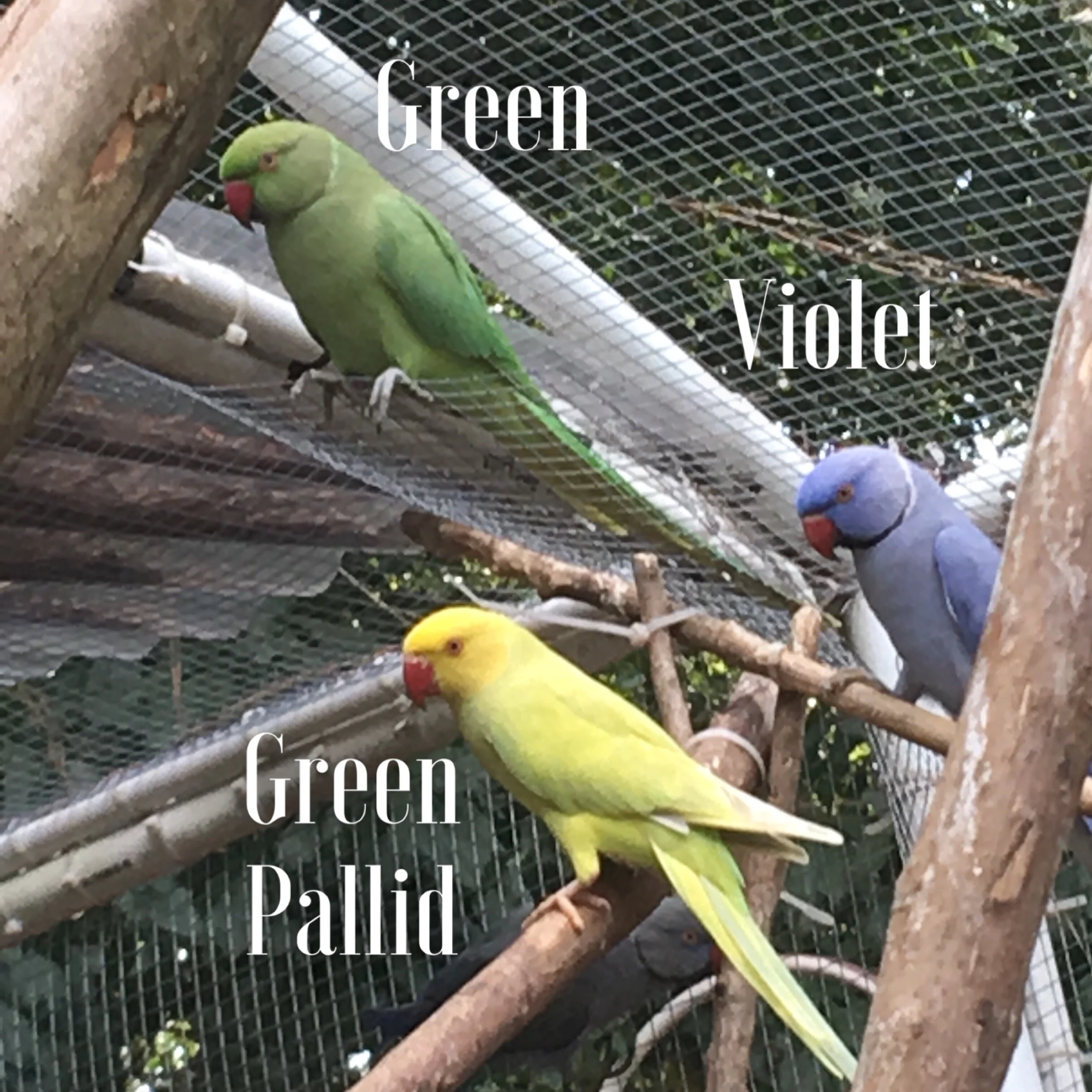 IMG_4669.jpeg