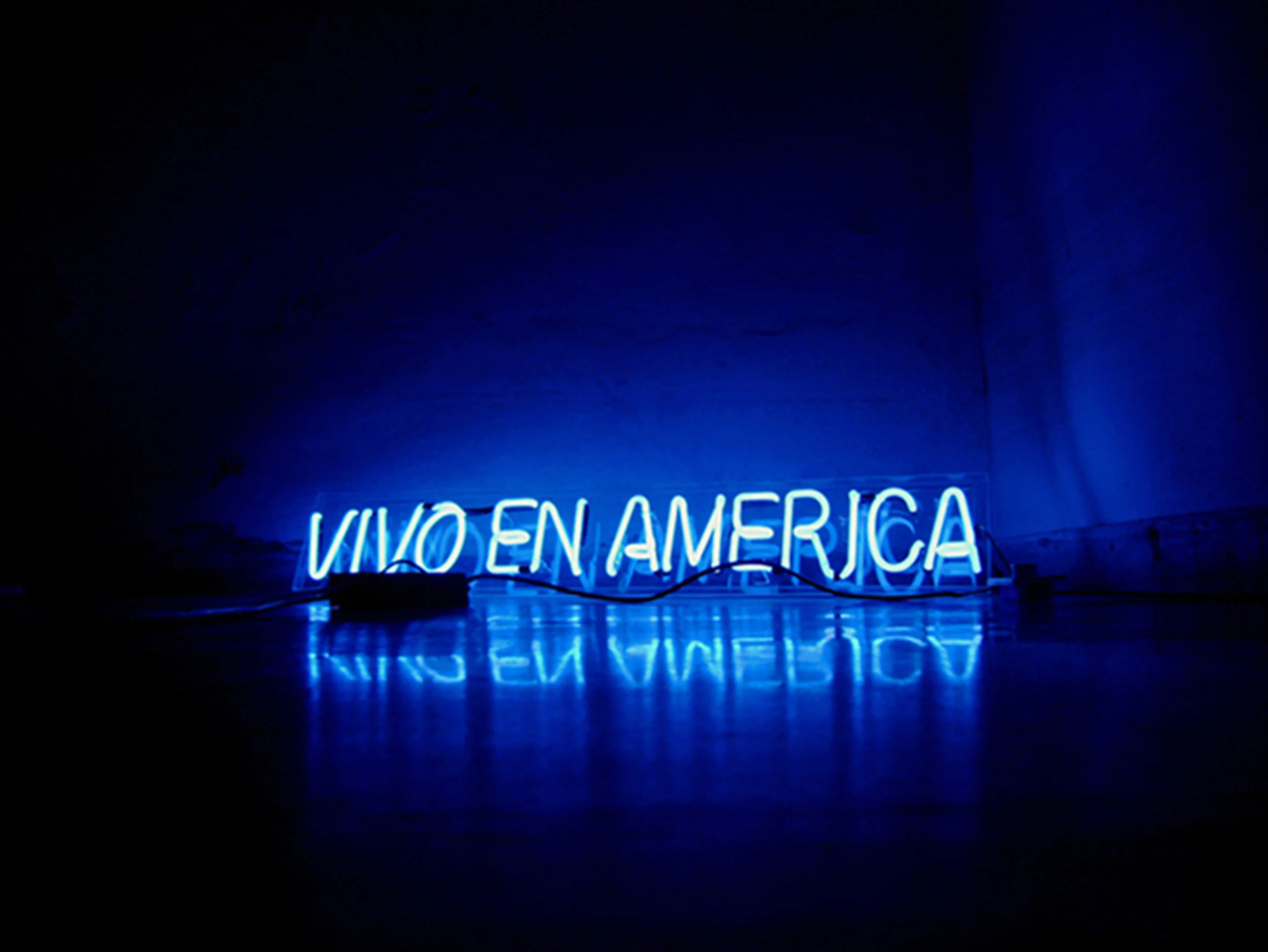 Karlo Abdre Ibarra.Continental, 2007-present. Neón sign powered by solar light .jpg