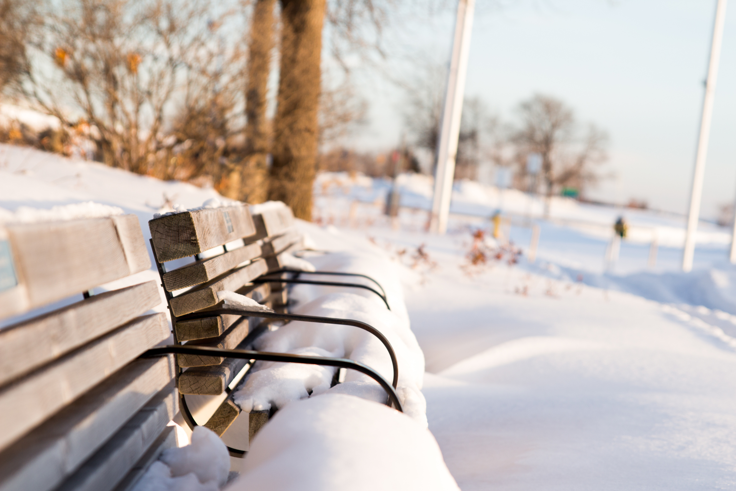 Benches by the waterfront covered in snow. 