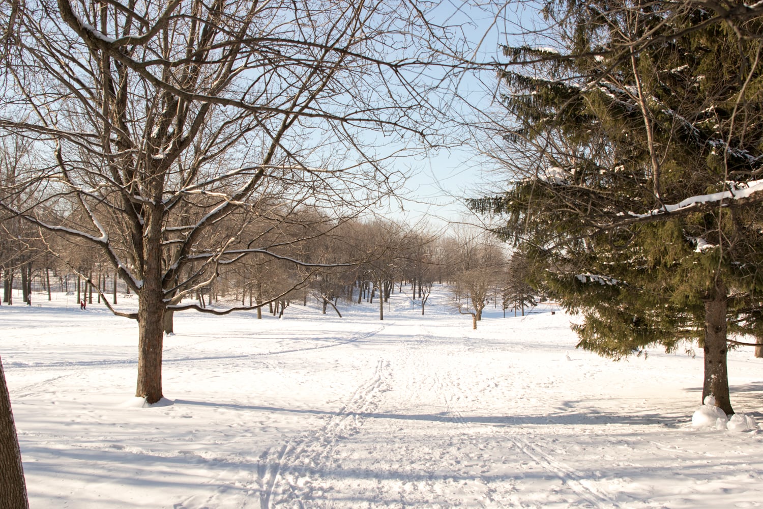 Mount Royal Park covered in snow. 