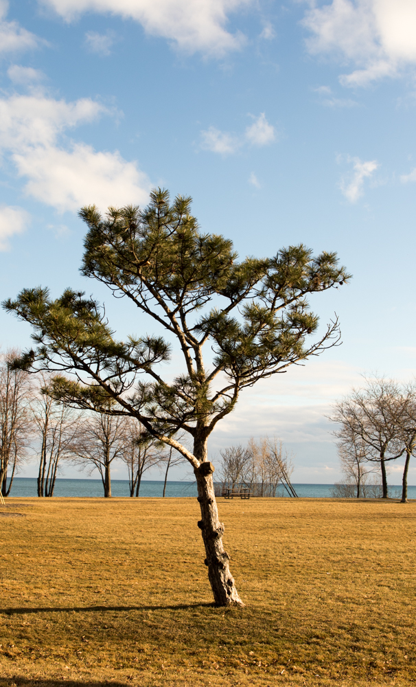 Spring like day at Long Branch Park