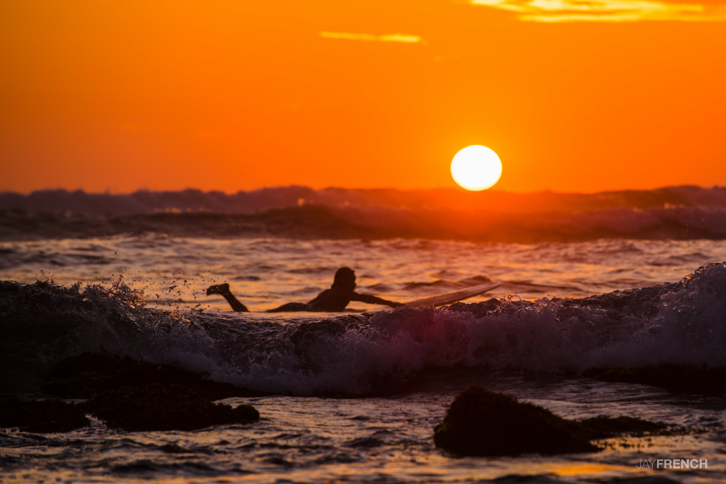 Surfing anyone?