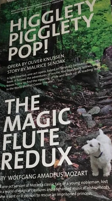 Higglety Pigglety Pop! and Die Zauberflöte