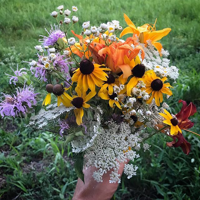 A bouquet of wild flowers from the meadow in our back yard. 💐
.
.
.
#getoutside #wild #meadow #flowers #nature