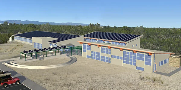 Birds1_edited for web_thumb.jpg