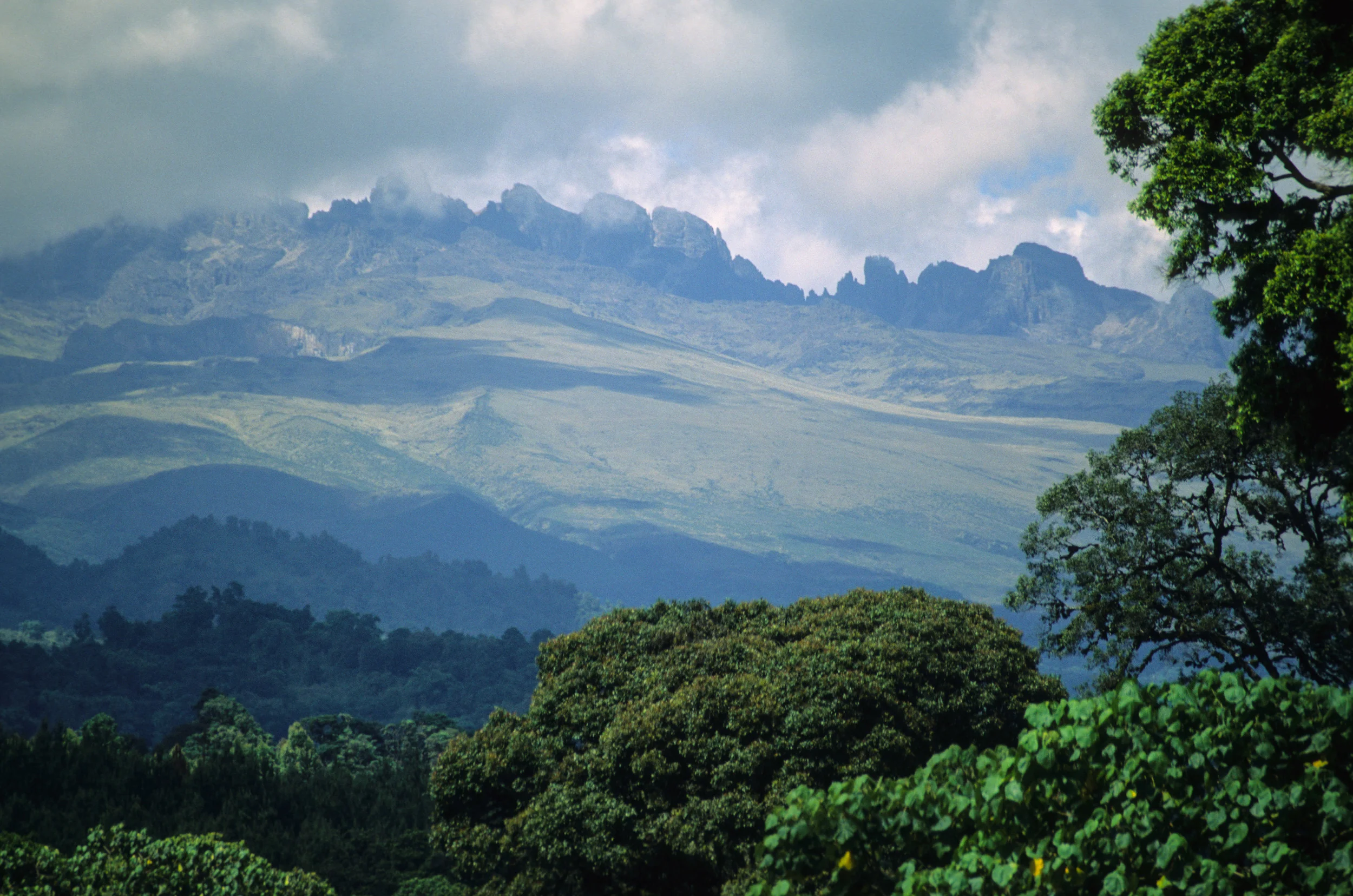Mt Kenya
