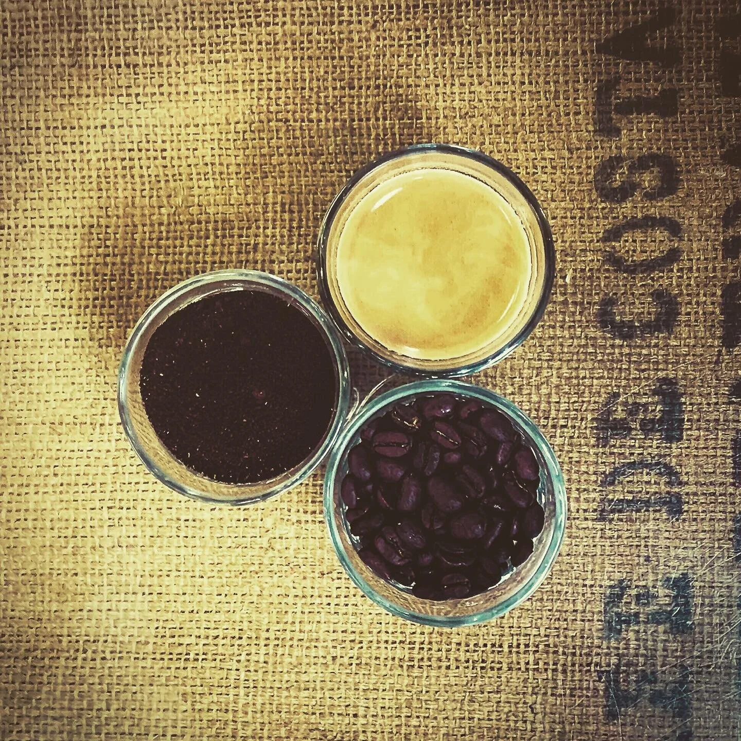 Coastal Coffee Roasters