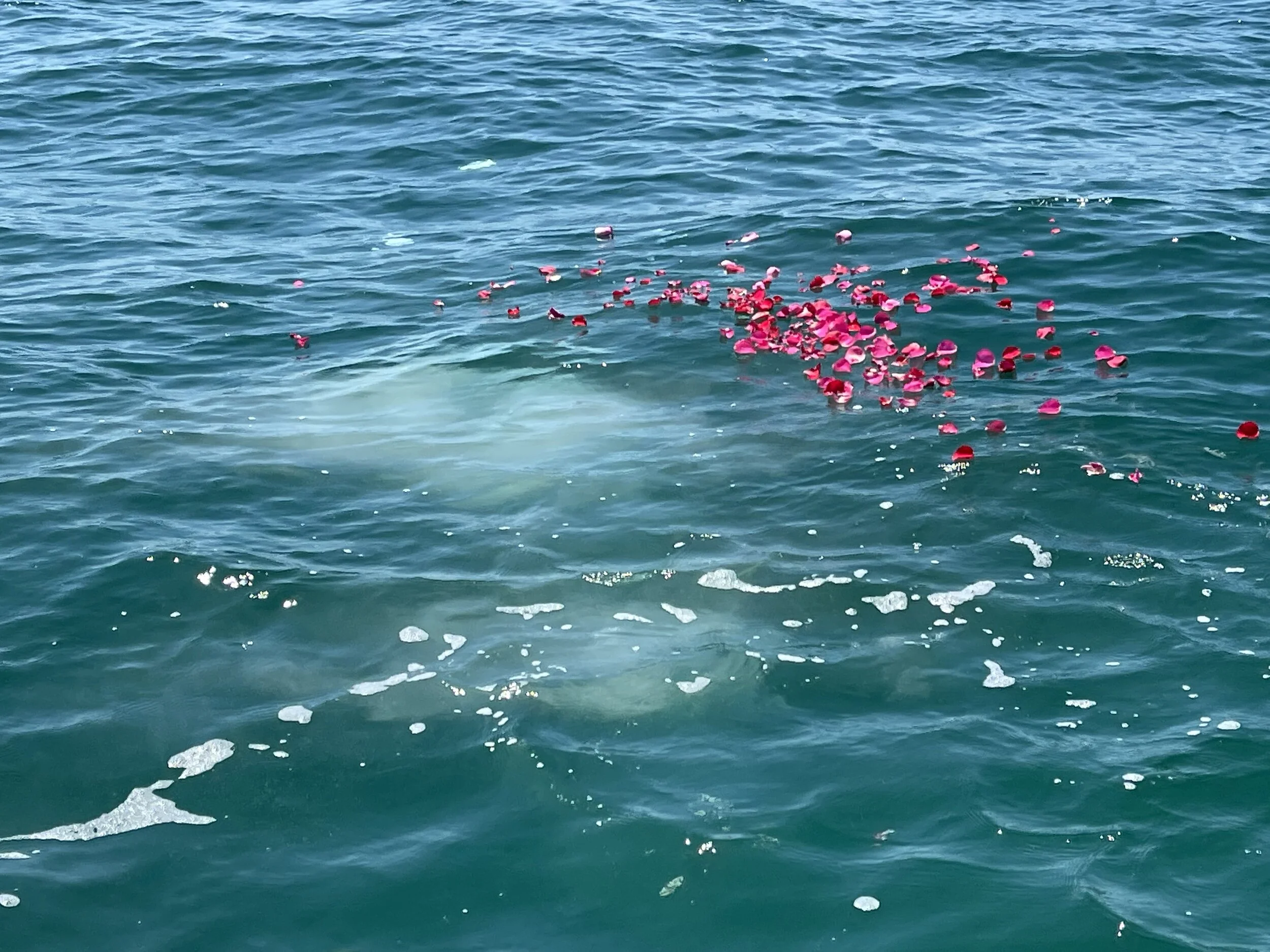 Ocean Ashes Florida Ocean Ash Scattering and Burial at Sea