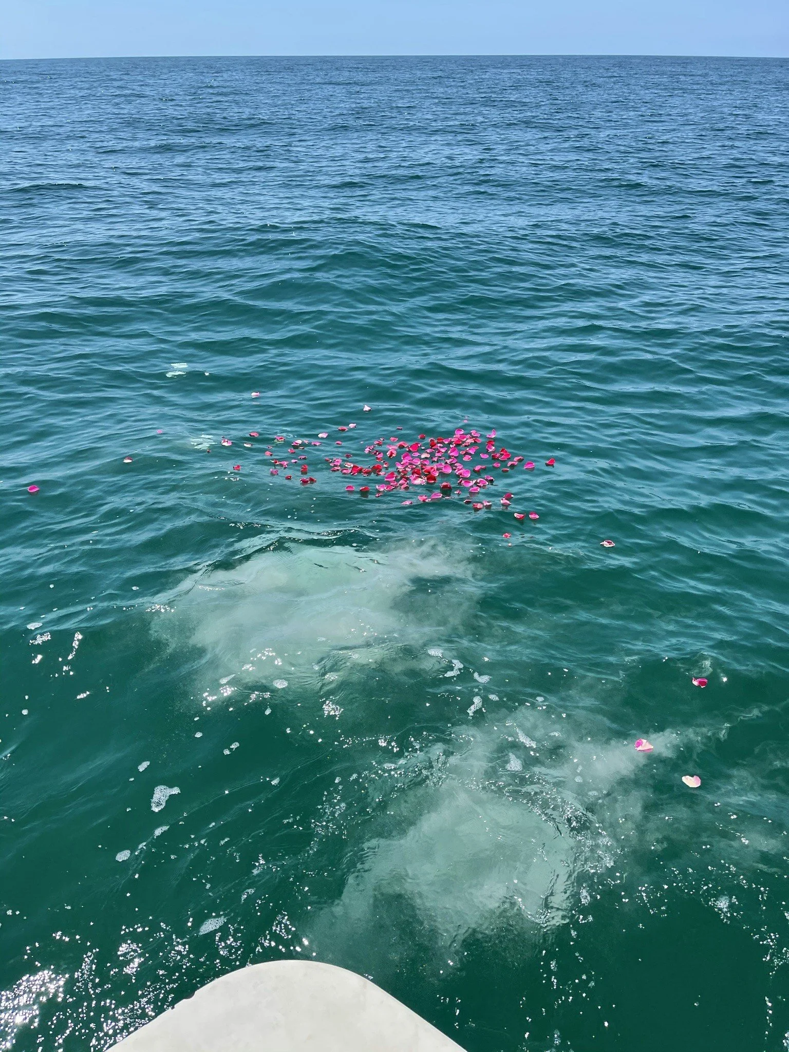 image_6487327 (5).JPG