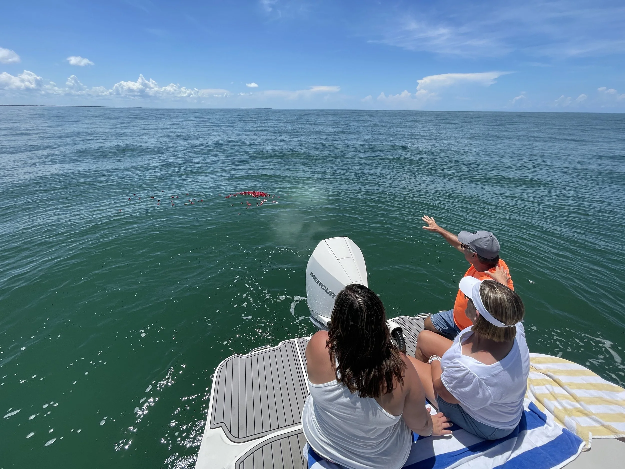 5 Florida Ocean Ash Scattering Tips in 2023