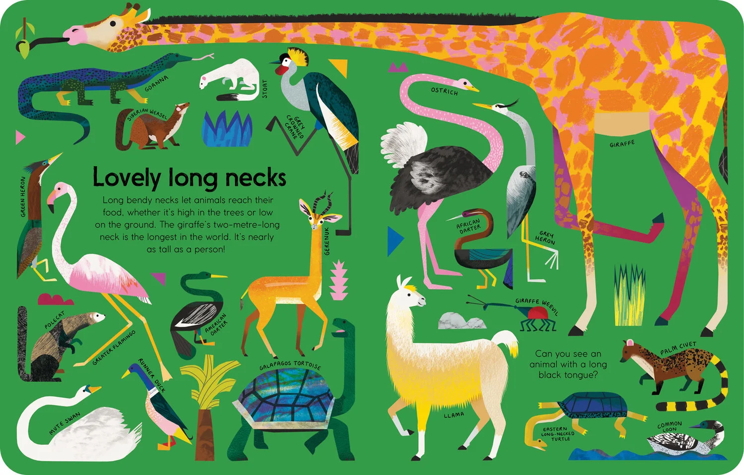 “Each page is bursting with unusual creatures all united by a common characteristic. From enormous ears to humongous horns, and from elephants to earwigs, this eclectic collection of animals celebrates the diversity of the animal kingdom. And with something to look for on every page, it’s guaranteed to inspire and fascinate young animal lovers.” — Big Picture Press