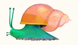 snail-by-Natasha-Durley.jpg