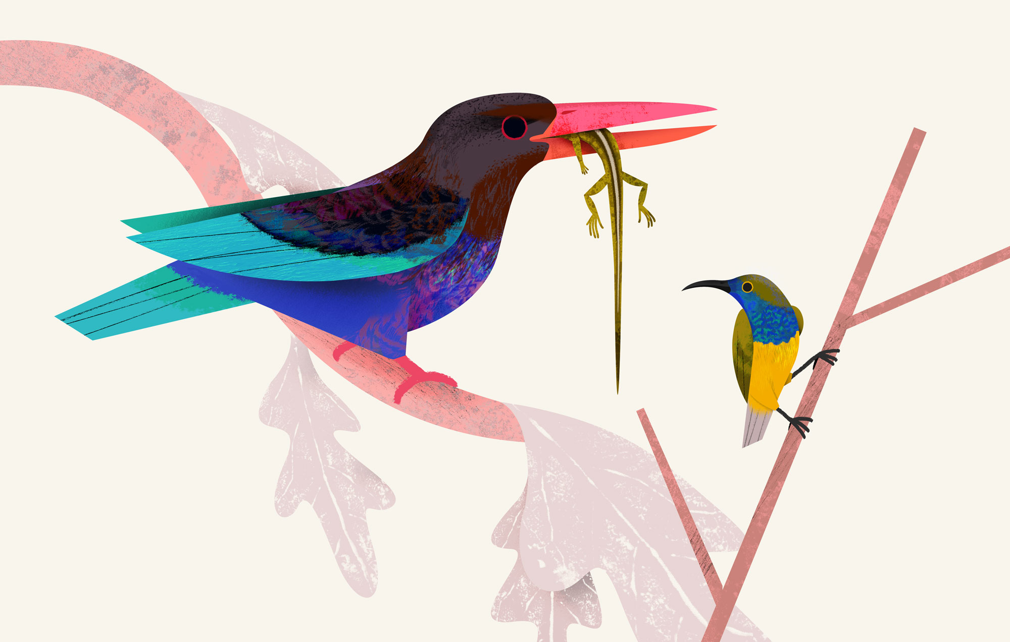 Birds from Bali