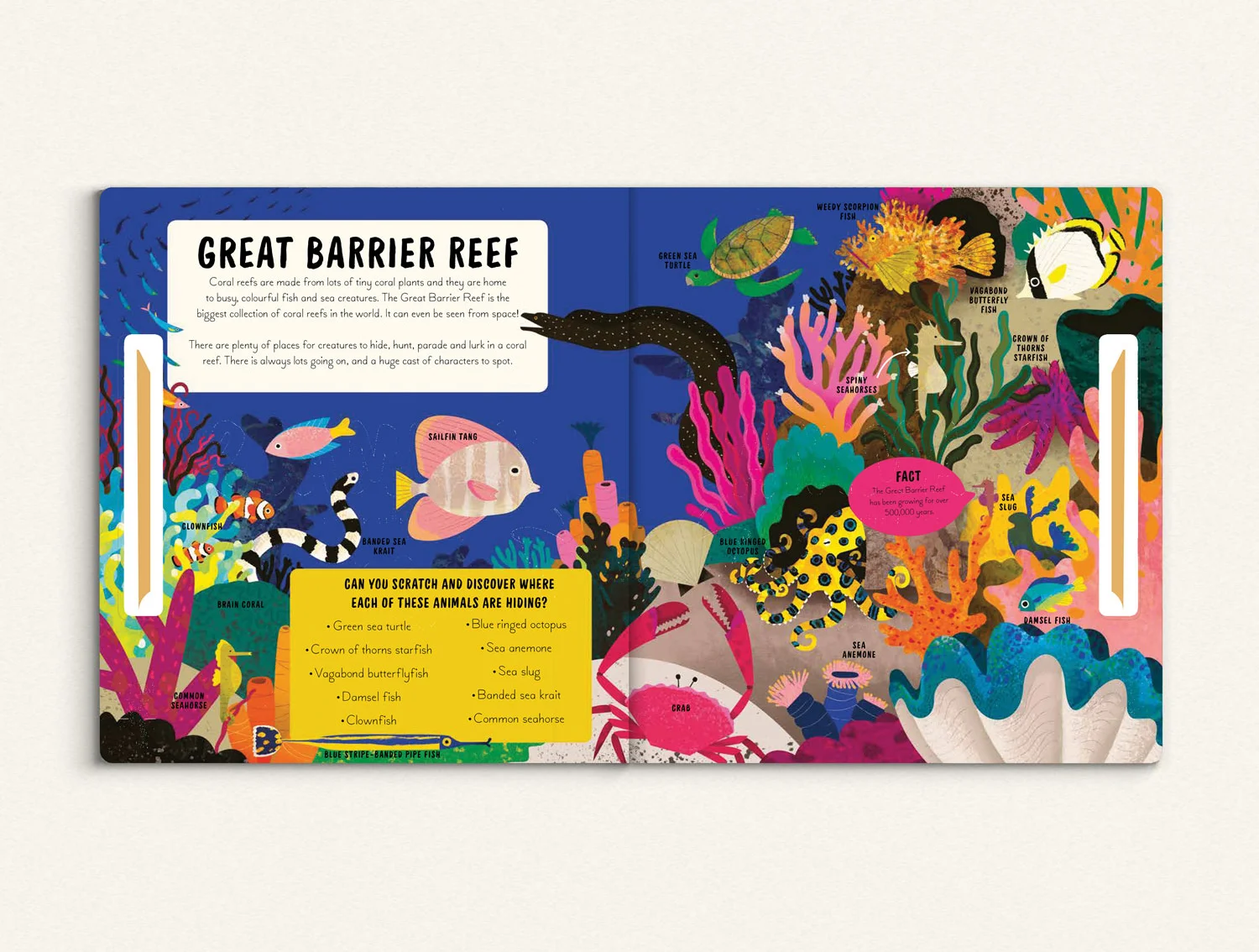scratch-and-learn-animals-book_Great-barrier-reef-by-natasha-durley.jpg