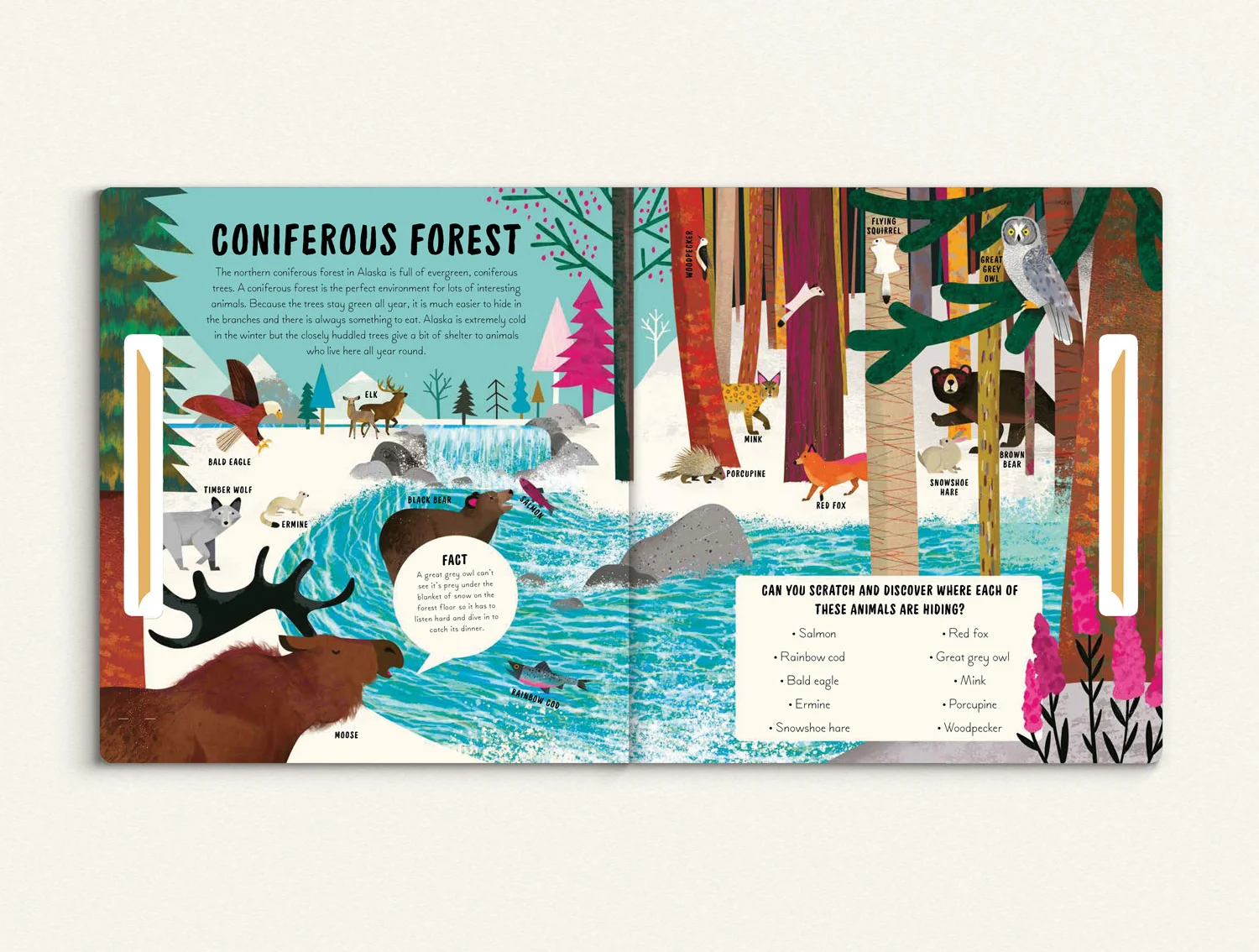 scratch-and-learn-animals-book_forest-by-natasha-durley.jpg