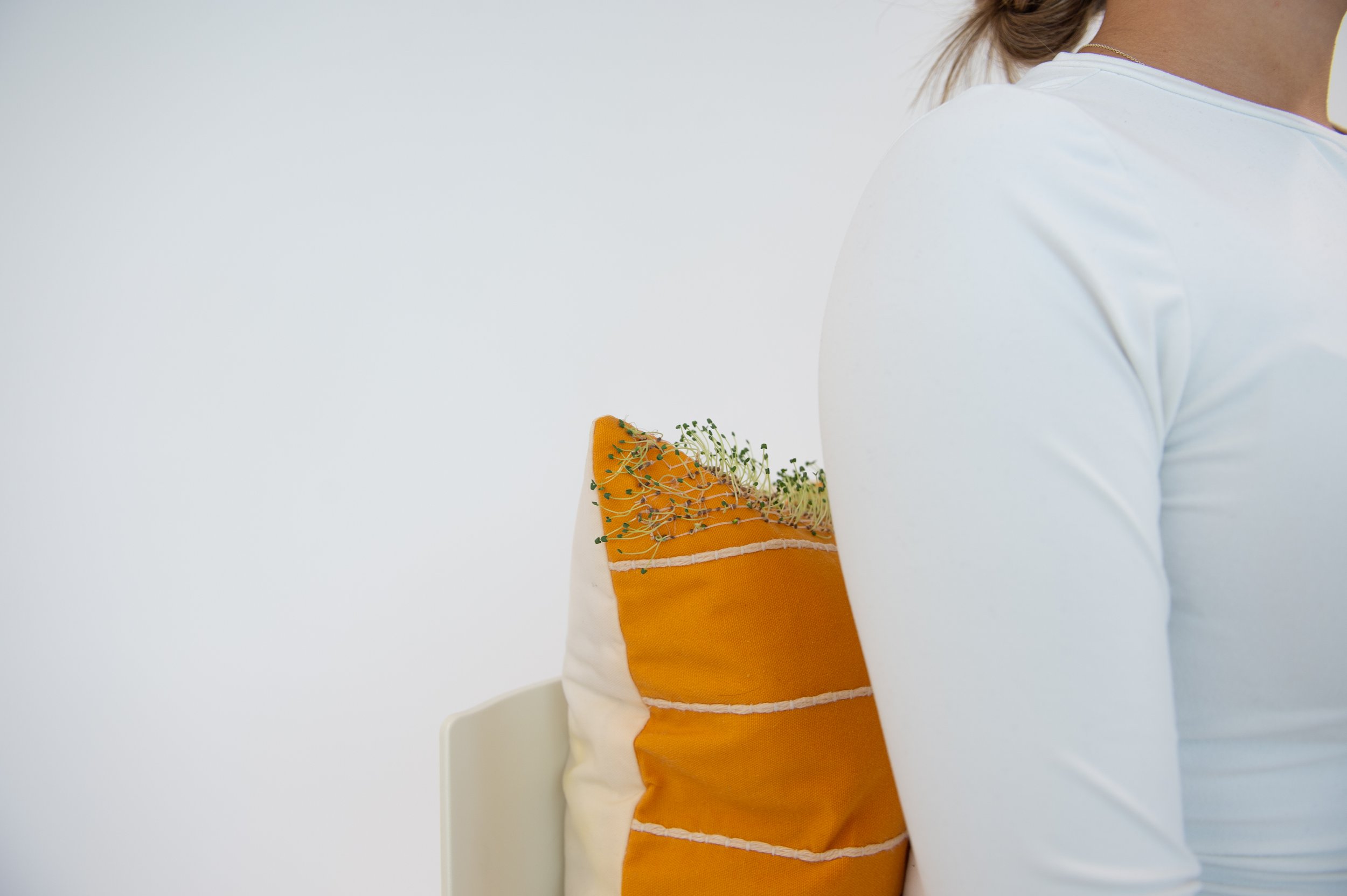 7_LivingLoom_Pillow_InUse.jpg