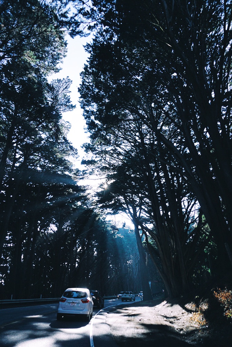 VSCO Cam-1 (10).jpg