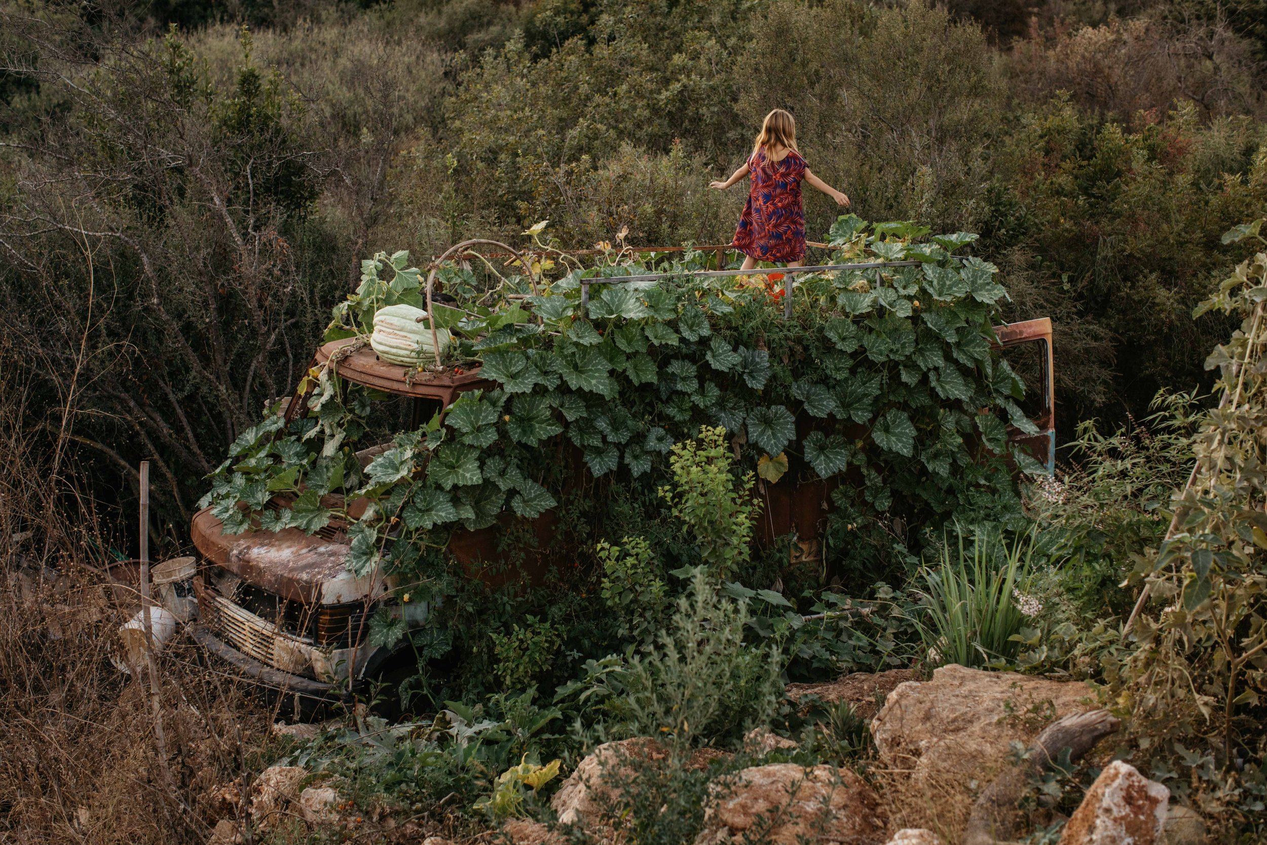 After years of serving them as a homeA fire started and burned the van.But even after being completely burned the van refused to get out of use.And now with new life coming out of itThe van became the family garden.Galille, Israel